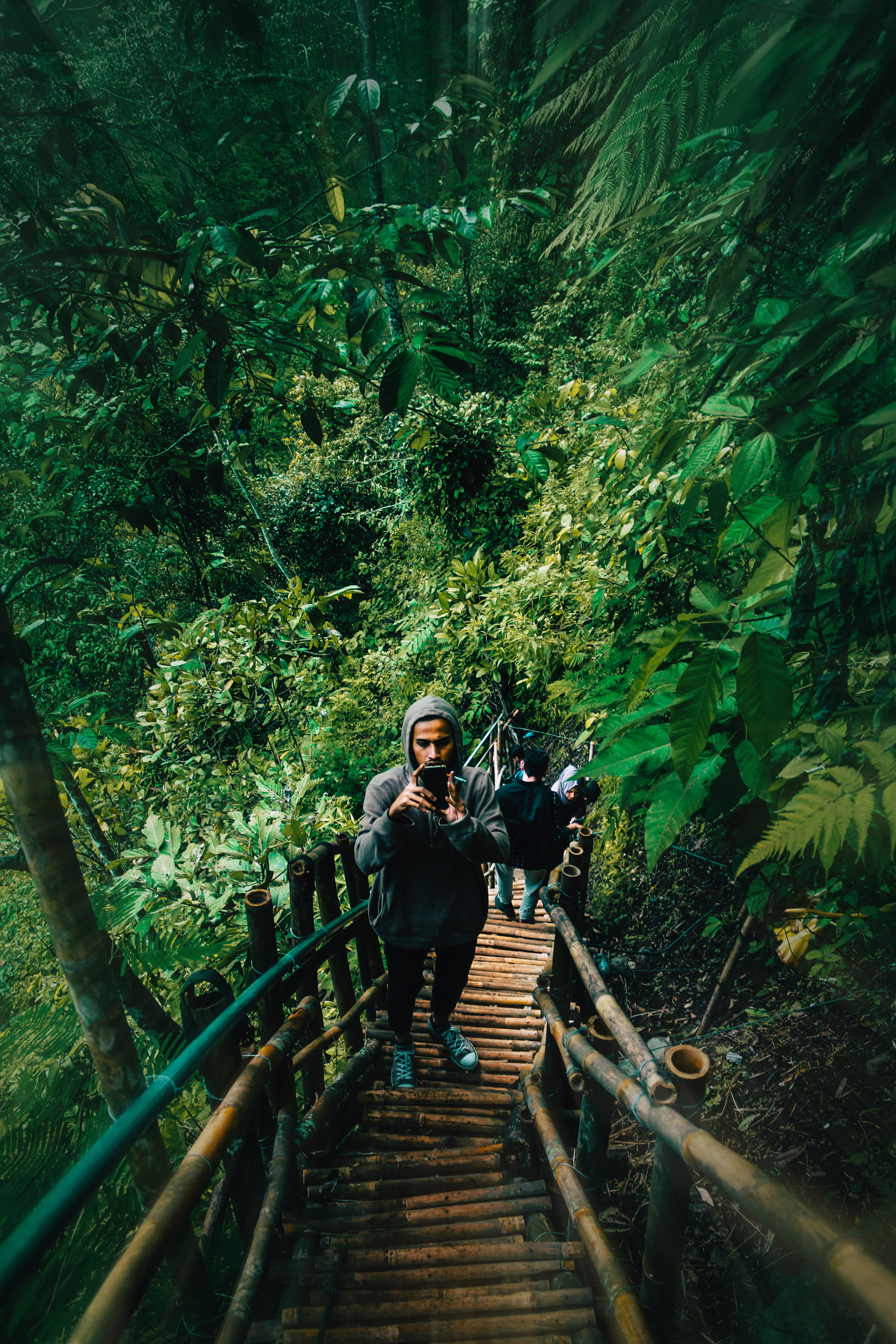 railing, moody, wild, front view, grojogan sewu waterfall, bridge, one person, darktone, forest, the way forward, tree, outdoors, footbridge, leisure activity, Phone HD Wallpaper