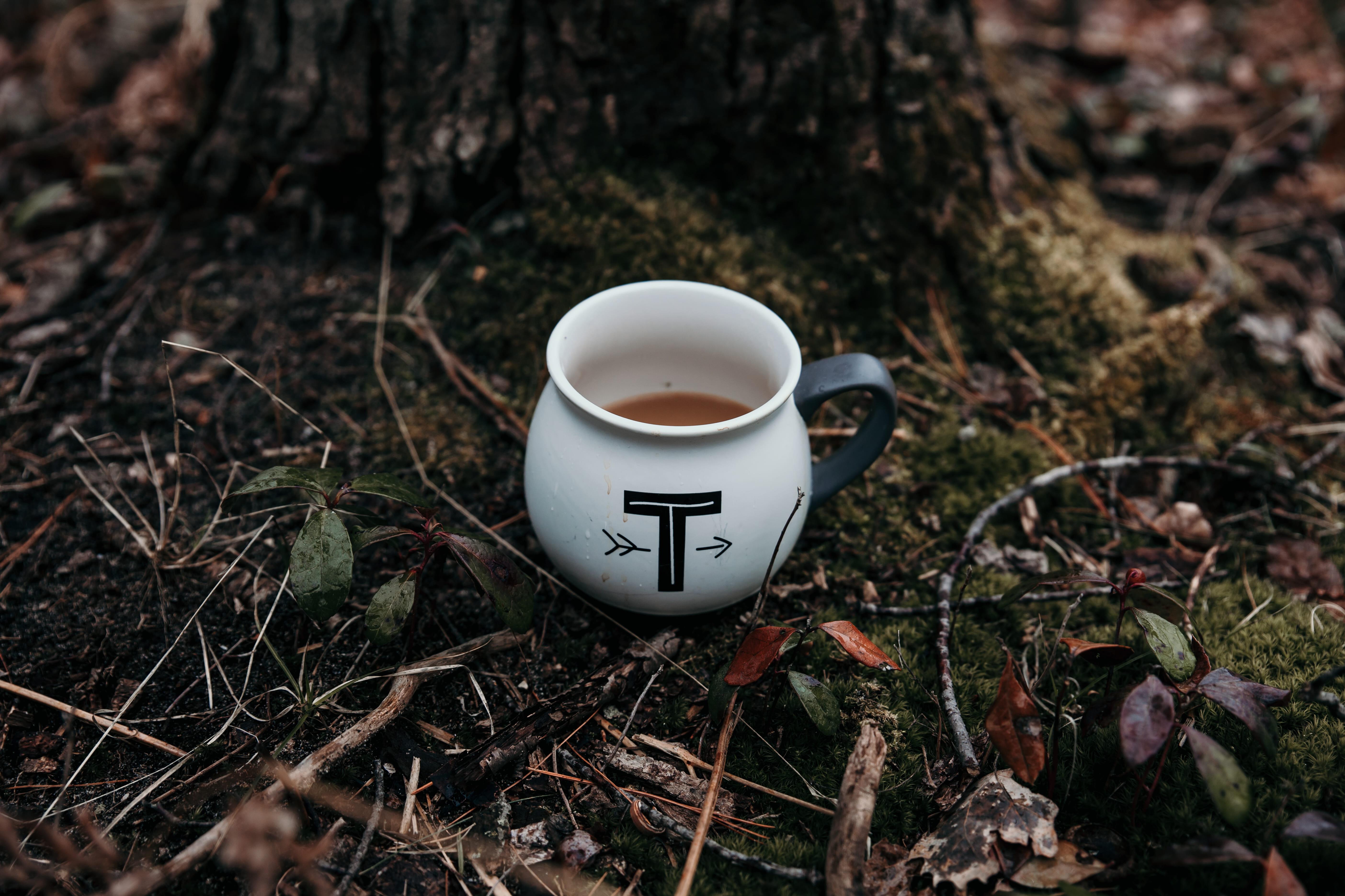 5K, no people, land, manogram, nature, focus on foreground, freshness, coffee - drink, darktone, moody, mug, coffee, dirt, leafe, cup, forest, plant, selective focus, HD Wallpaper