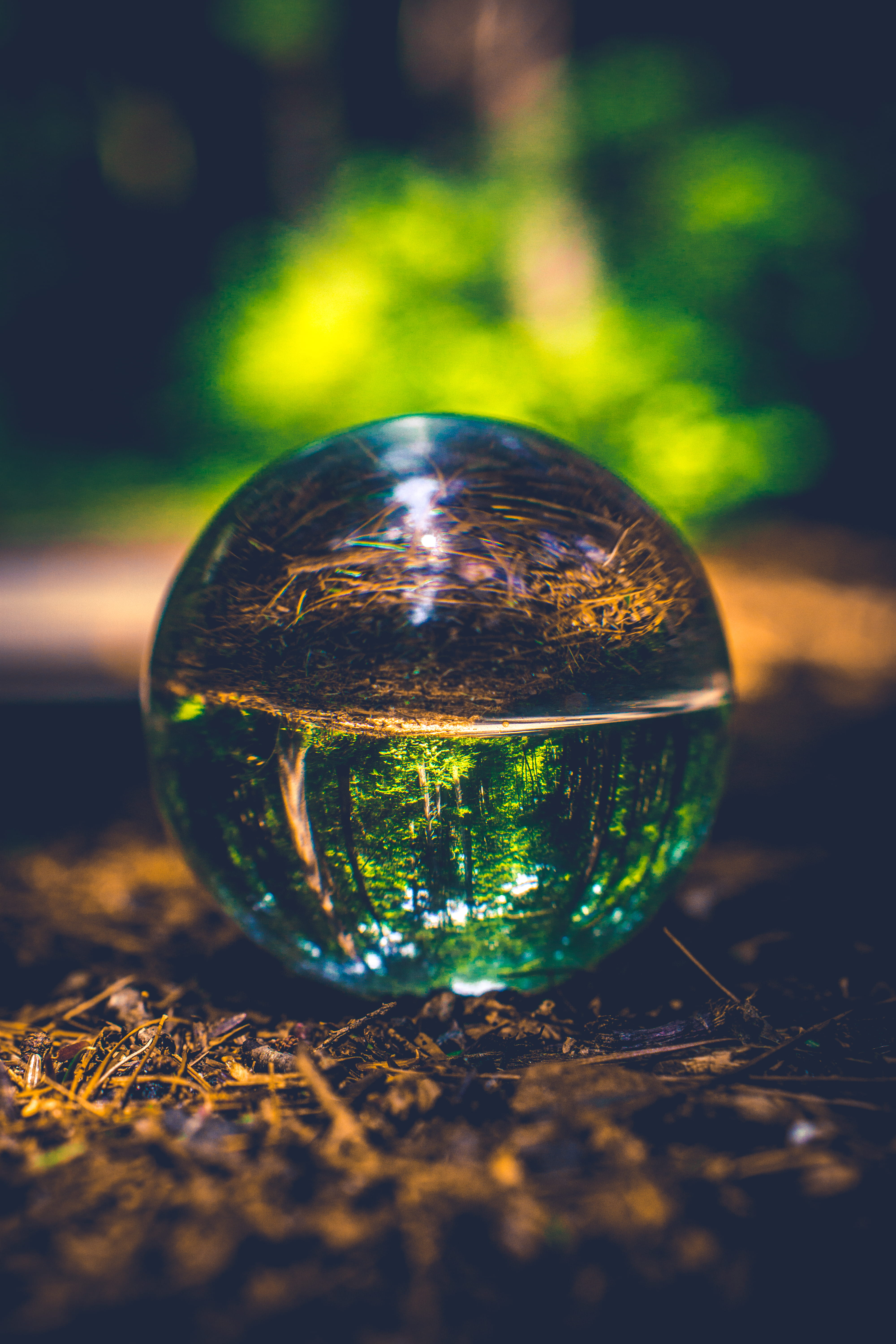 woodsy, no people, sphere, bethany, adventure, sunlight, crystalball, green color, land, refraction, transparent, united states, nature, naugatuck state forest, Phone HD Wallpaper