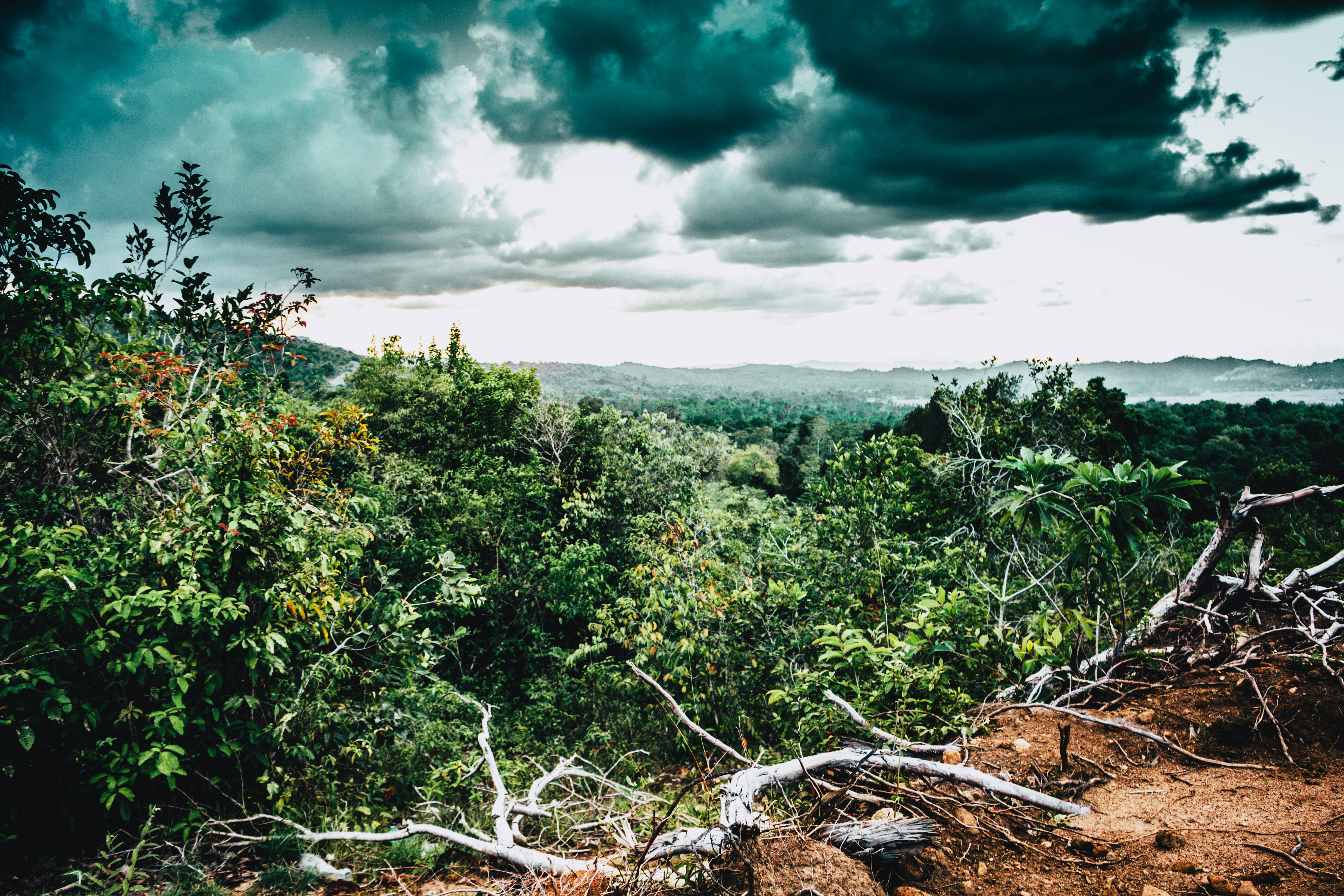 cloud, wide, environment, landscape, nature, lenscape, outdoors, beauty in nature, land, darktones, green color, tranquility, growth, scenics - nature, HD Wallpaper