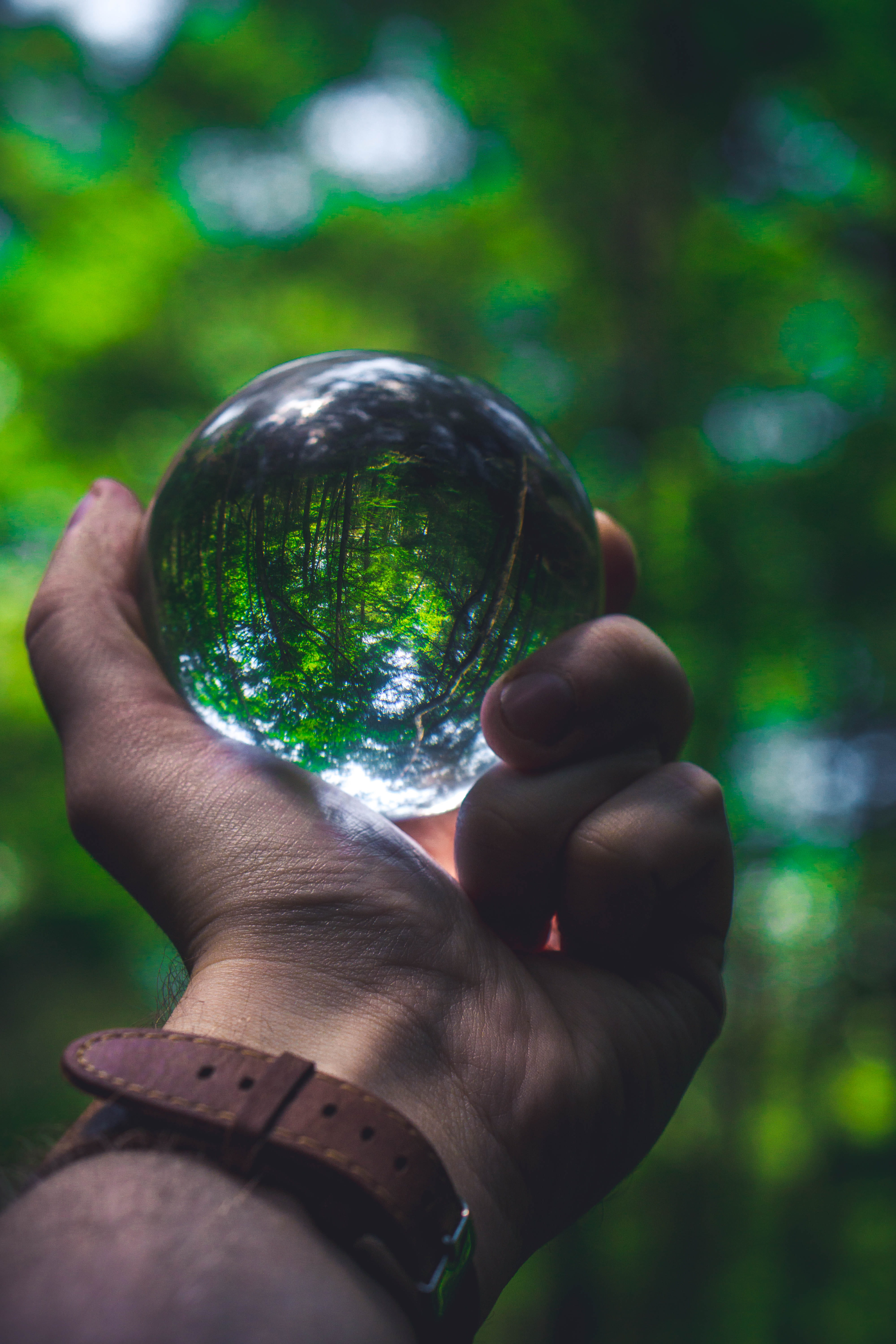 leisure activity, beautiful, close-up, 5K, ball, stateforest, crystal ball, hand, holding, united states, crystal, focus on foreground, outdoors, sphere, Phone HD Wallpaper