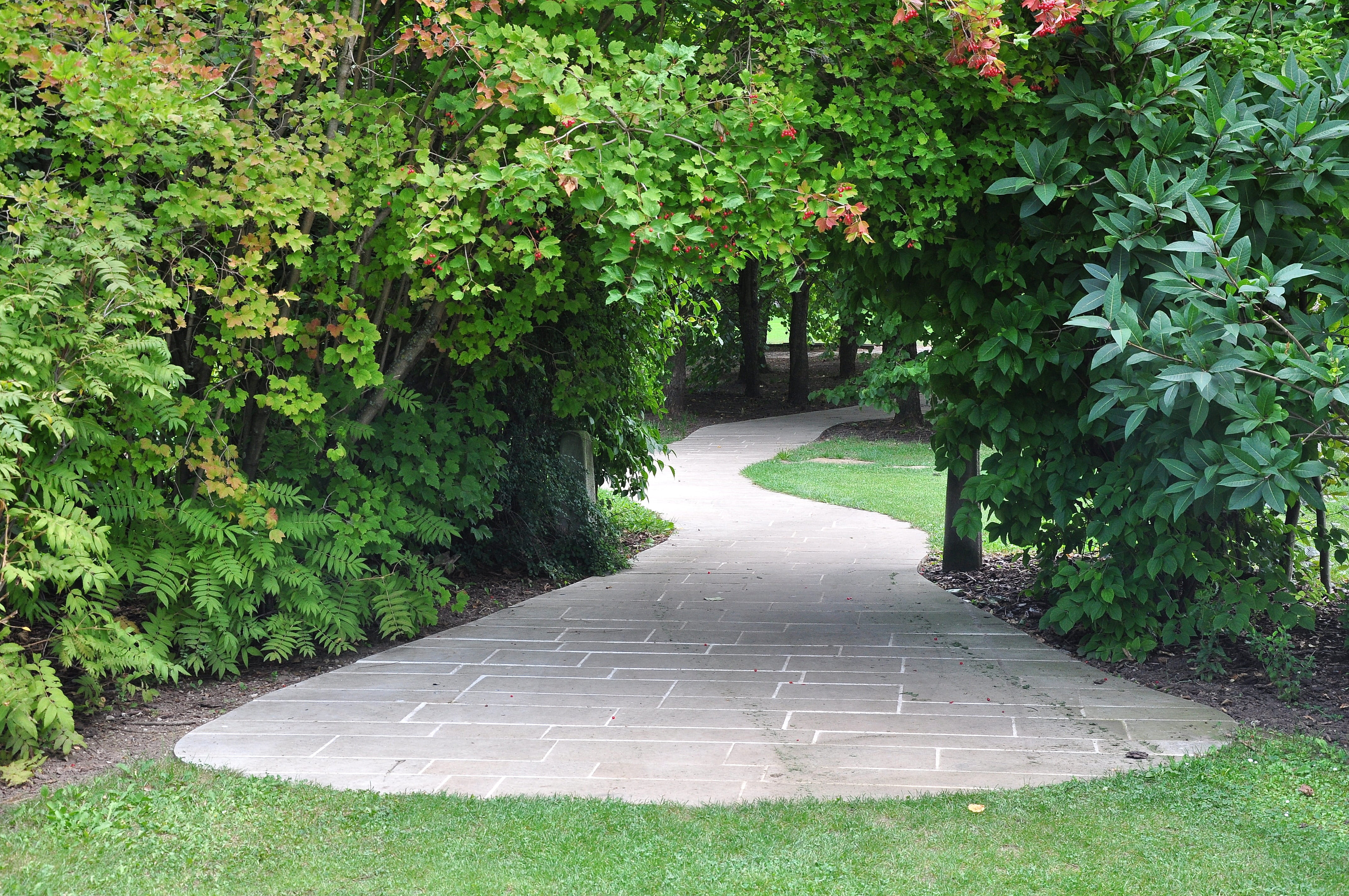 garden path, green, park, pavement, ornamental garden, day, foliage, bush, 4K, paving, path, growth, outdoors, tree, an ornamental garden, Garden, plant, HD Wallpaper