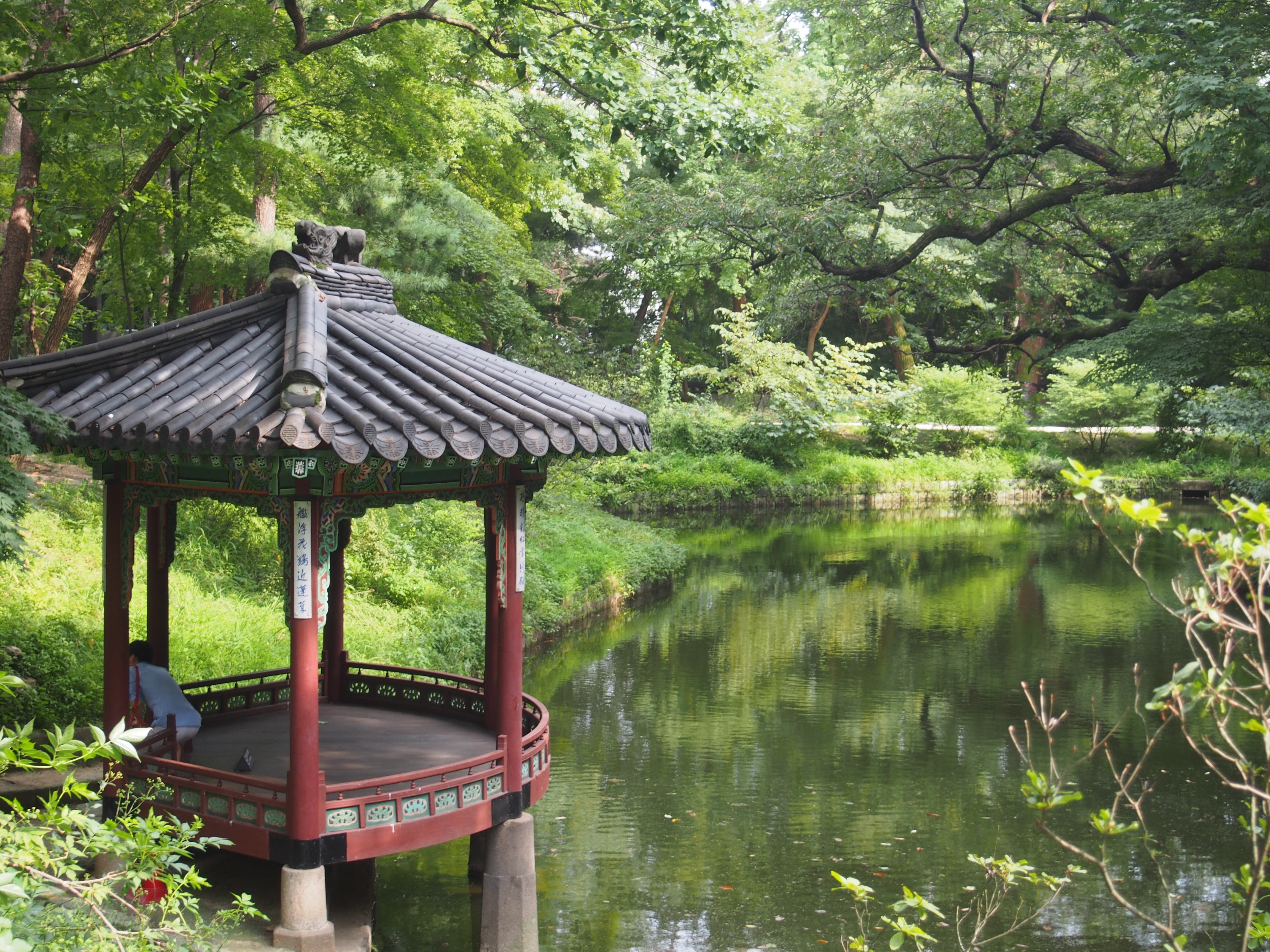 water, no people, growth, day, 4K, tranquil scene, tree, roof, outdoors, forest, changgyeonggung palace the secret garden, changgyeonggung, built structure, HD Wallpaper