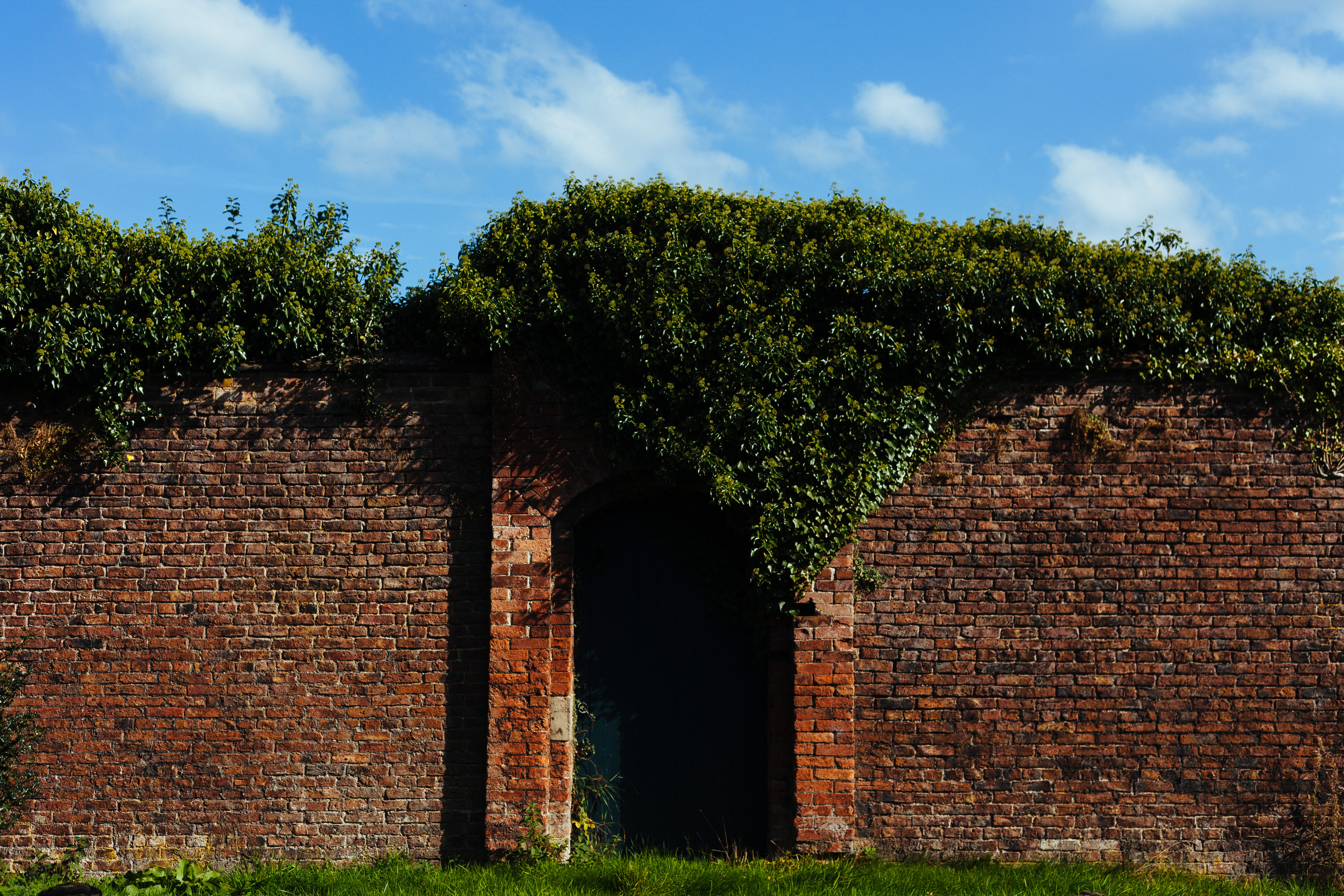 secret, brick, wall, locked, green, 5K, day, fence, built structure, gateway, tree, plant, architecture, brick wall, building, brown, door, field, bricks, HD Wallpaper