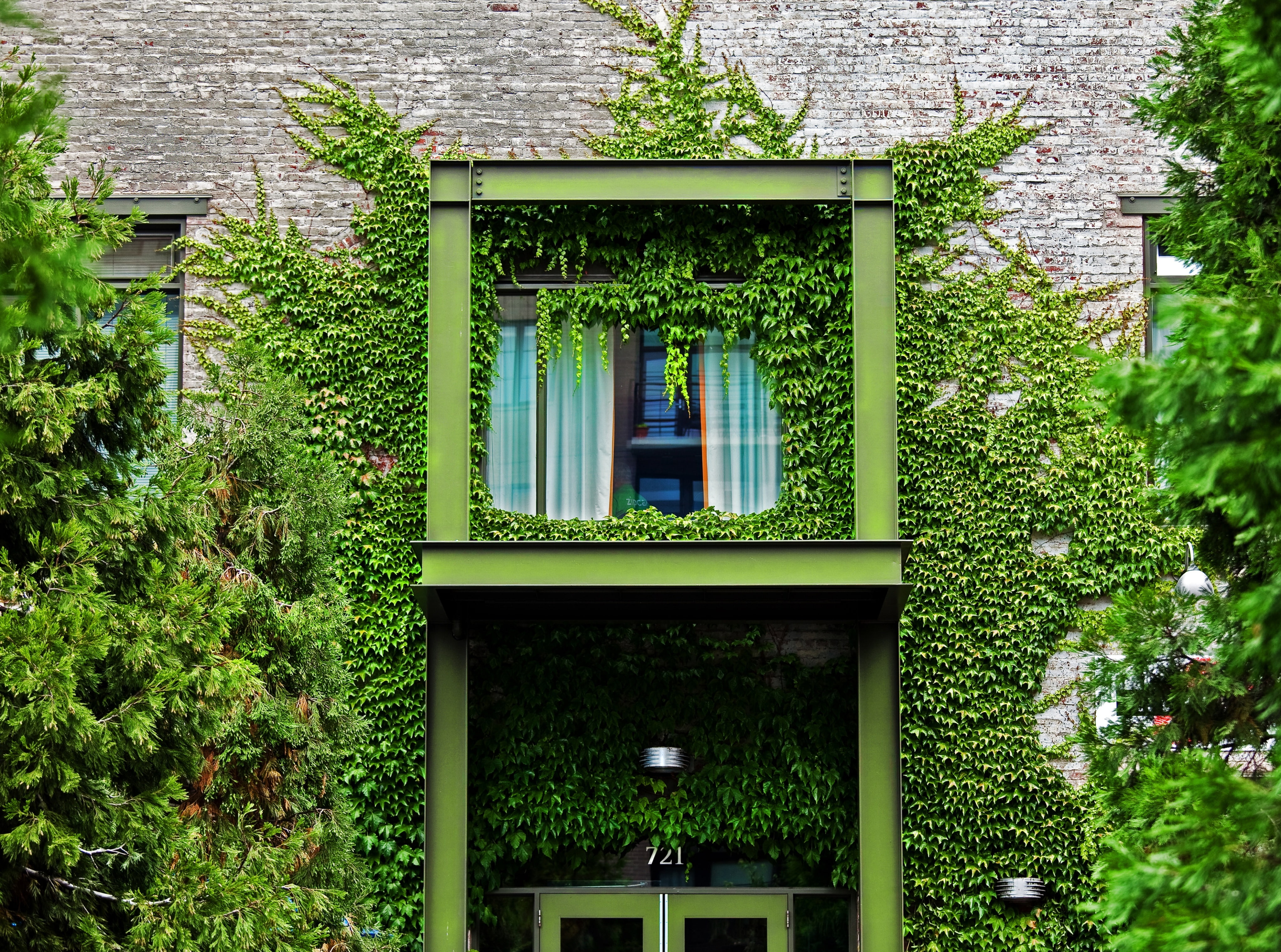 plant, outdoors, residential district, window, green color, day, brick, window frame, wood - material, ivy, low angle view, green, Garden, built structure, HD Wallpaper
