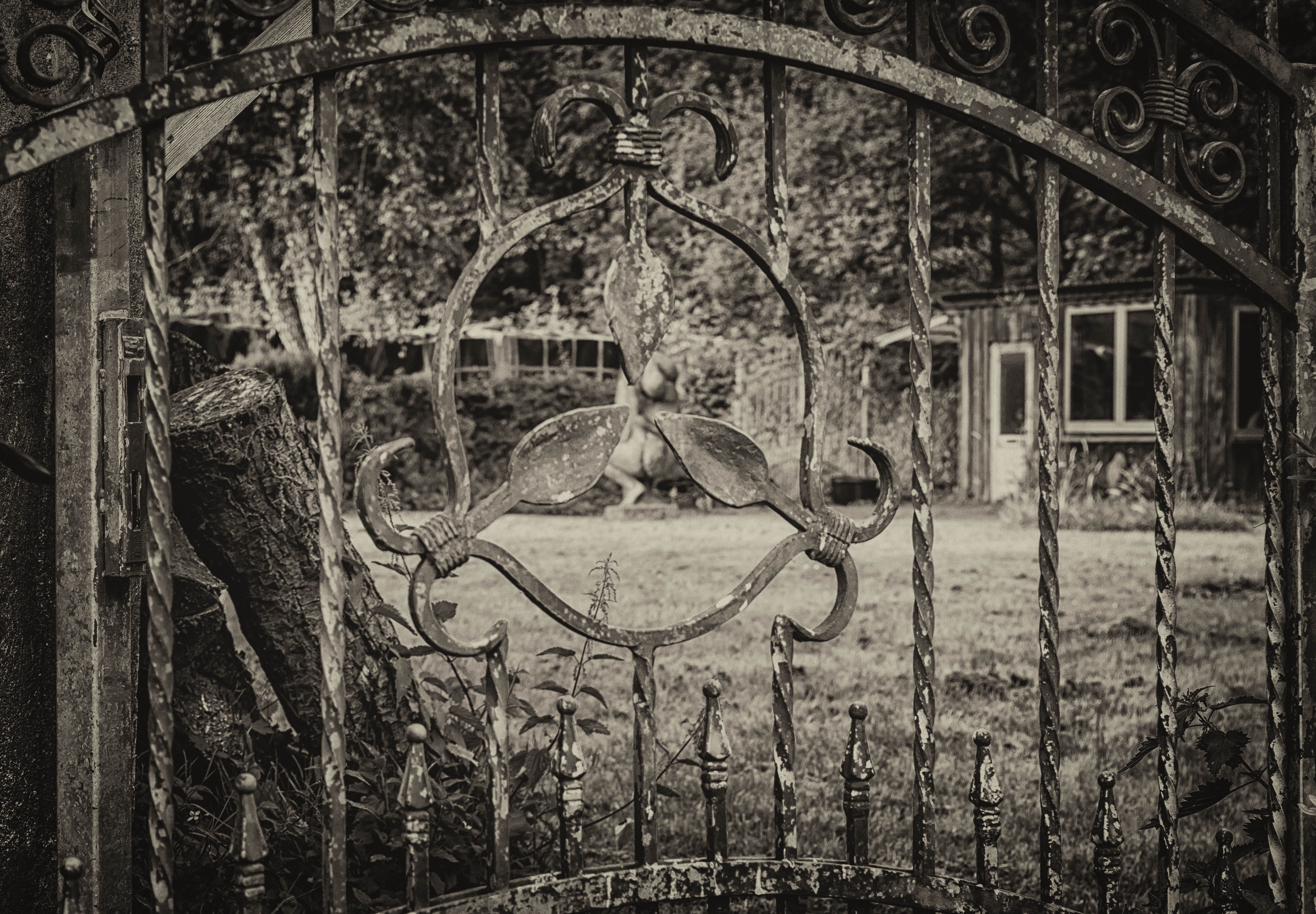 black and white, history, abandoned, art, creativity, obsolete, wrought iron, window, iron, old, representation, built structure, gate, gloomy, damaged, HD Wallpaper