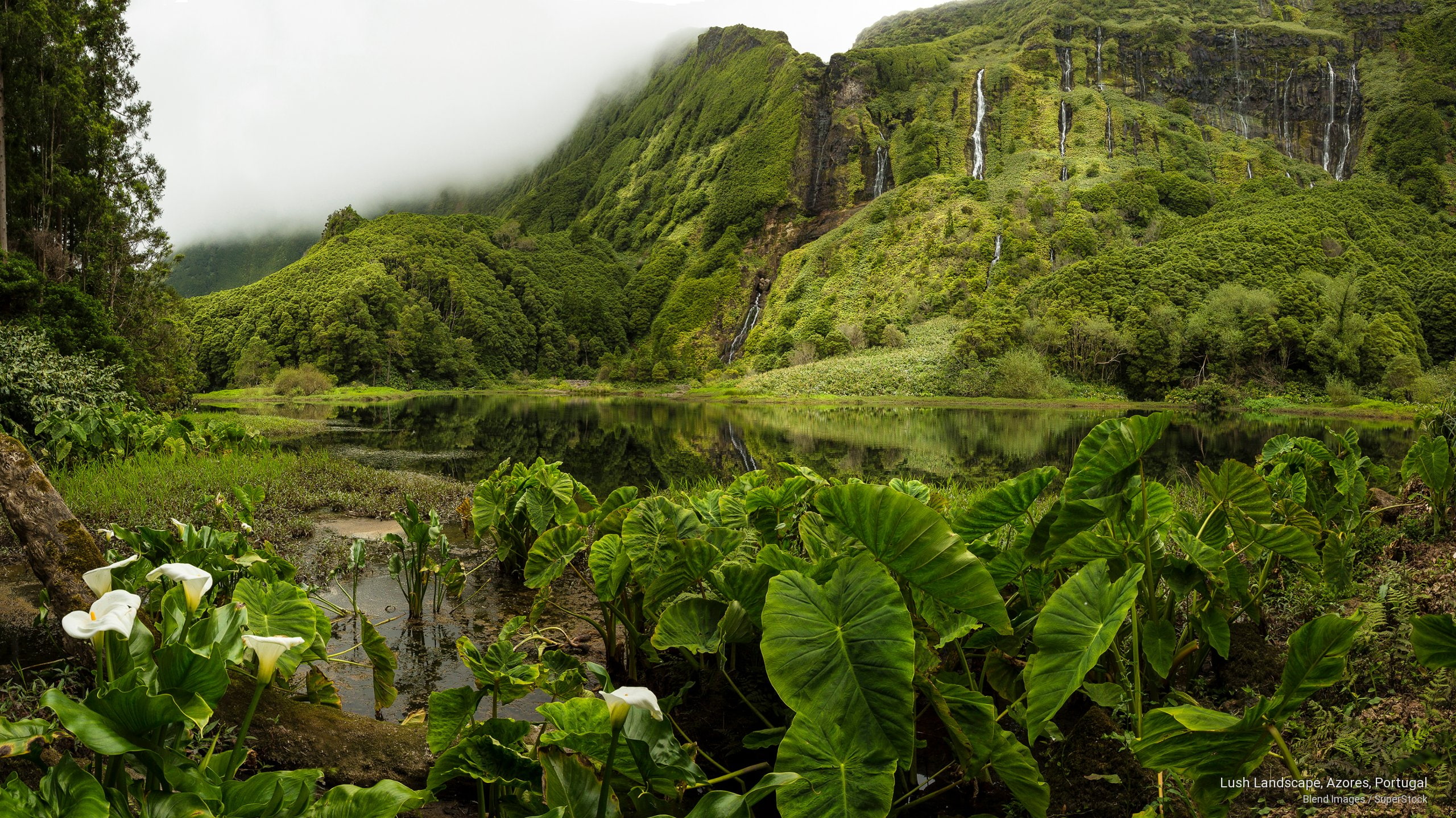 Nature, lush, azores, portugal, landscape, 2K, HD Wallpaper