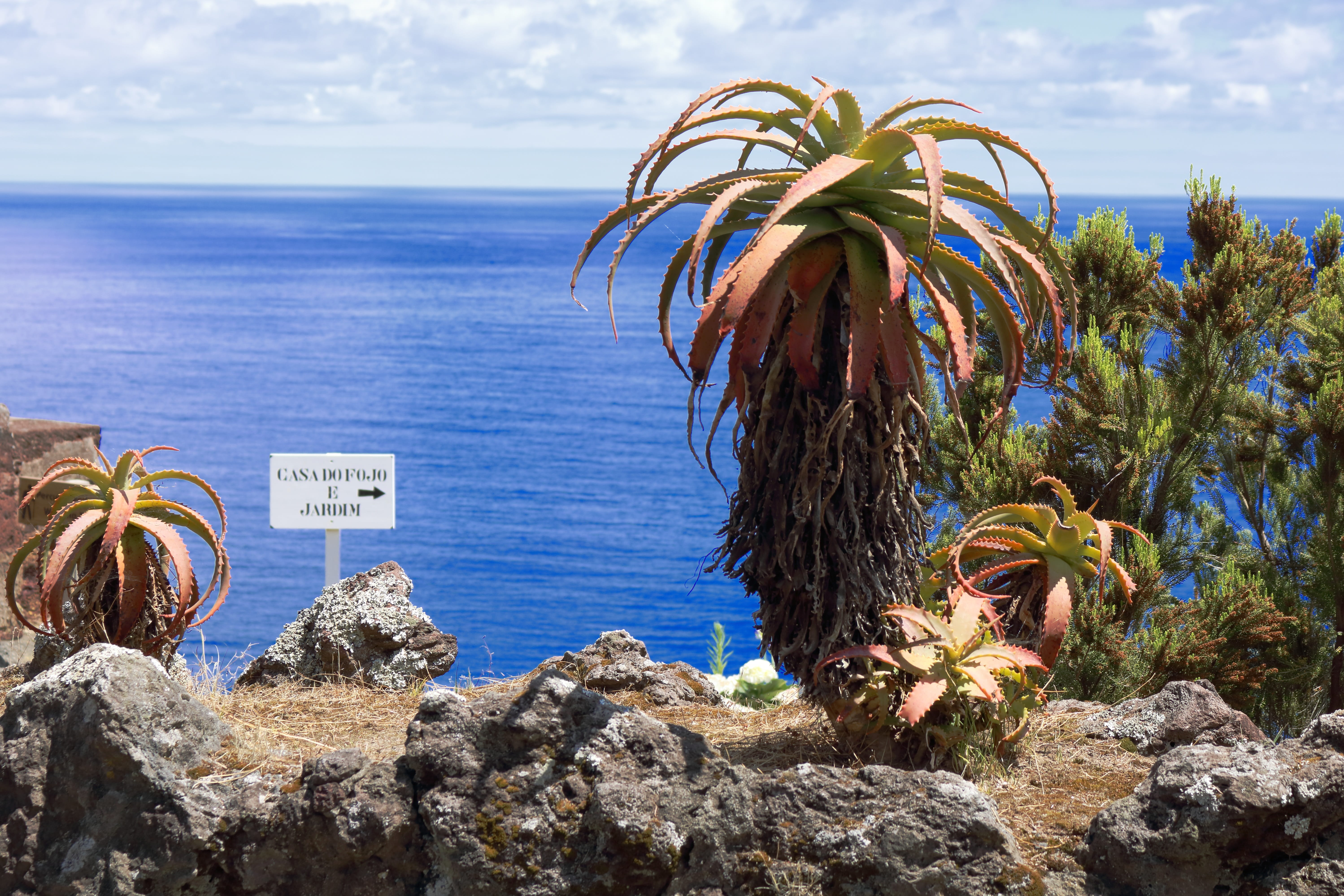 azores, sea, scenics - nature, tranquil scene, trail, cloud - sky, horizon, comanche, water, outdoors, nature, day, solid, sky, plant, são miguel, rock - object, HD Wallpaper