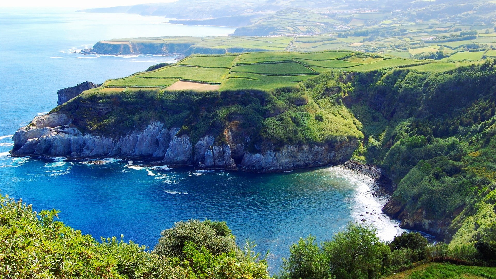 Azores, trees, cliff, sea, water, field, 1080P, HD Wallpaper