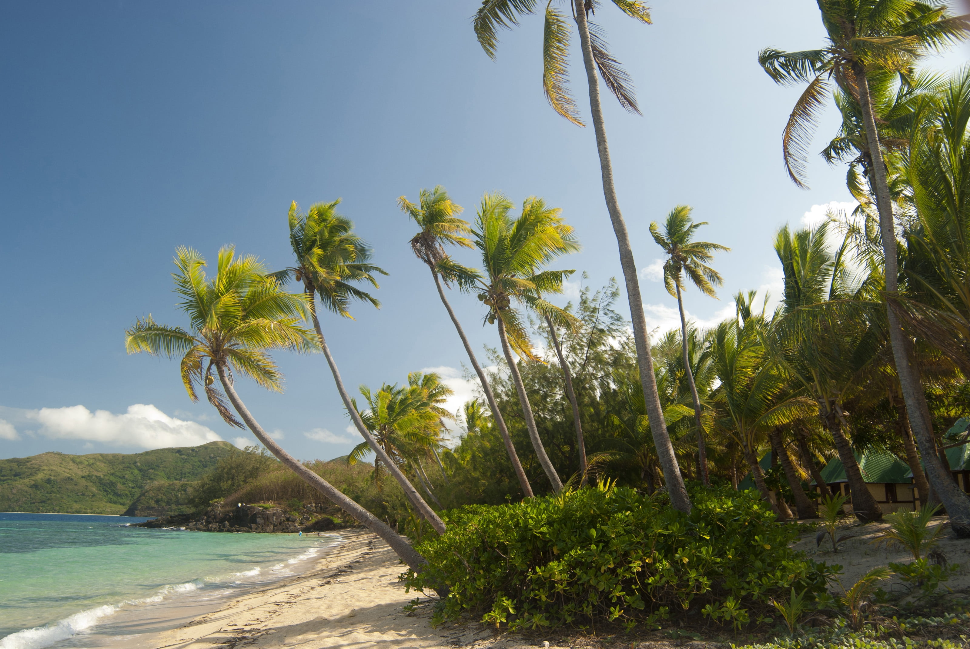 scenics - nature, vacations, nature, turquoise Colored, sea, bay Of Water, outdoors, beach, beauty In Nature, coconut Palm Tree, palm, sunlight, summer, HD Wallpaper