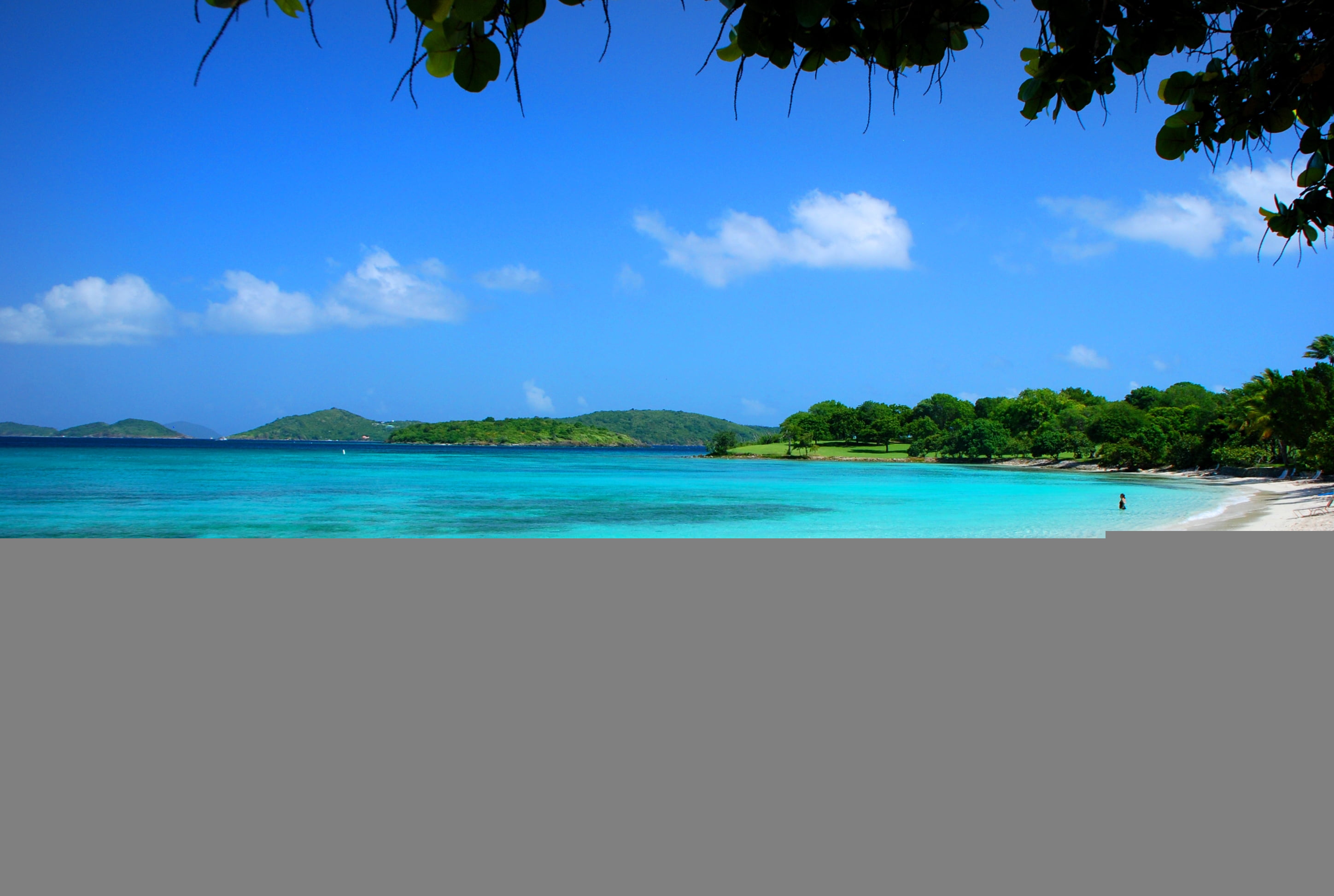 tree, sunlight, cloud - Sky, land, scenics, tourist Resort, seychelles, sand, horizon over water, island, 2K, lagoon, beach, summer, no People, transparent, HD Wallpaper