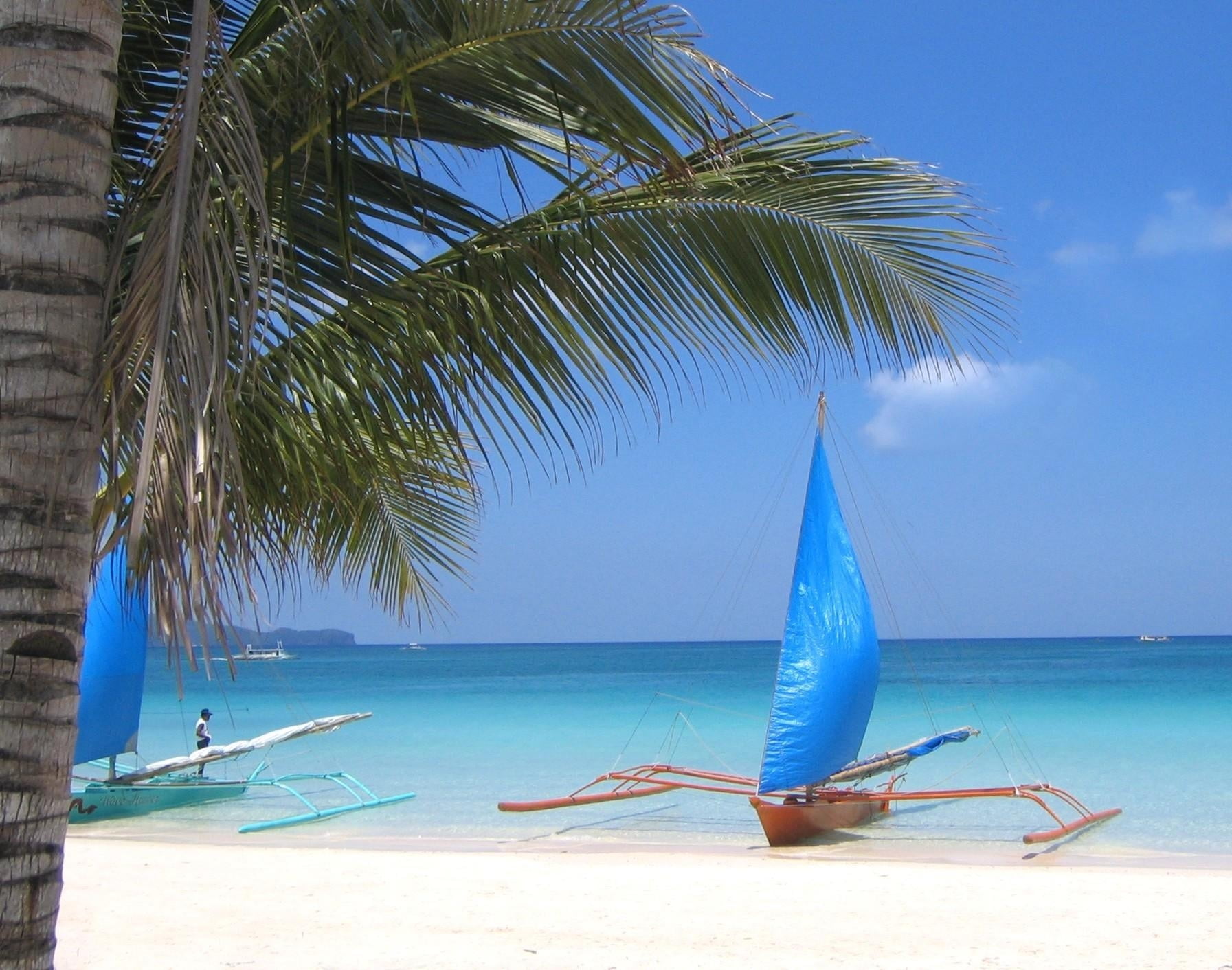 caribbean, tree, tourist Resort, journey, coconut Palm Tree, lagoon, beach, beauty In Nature, brown, scenics, 720P, boracay, sailing, transportation, nautical Vessel, HD Wallpaper