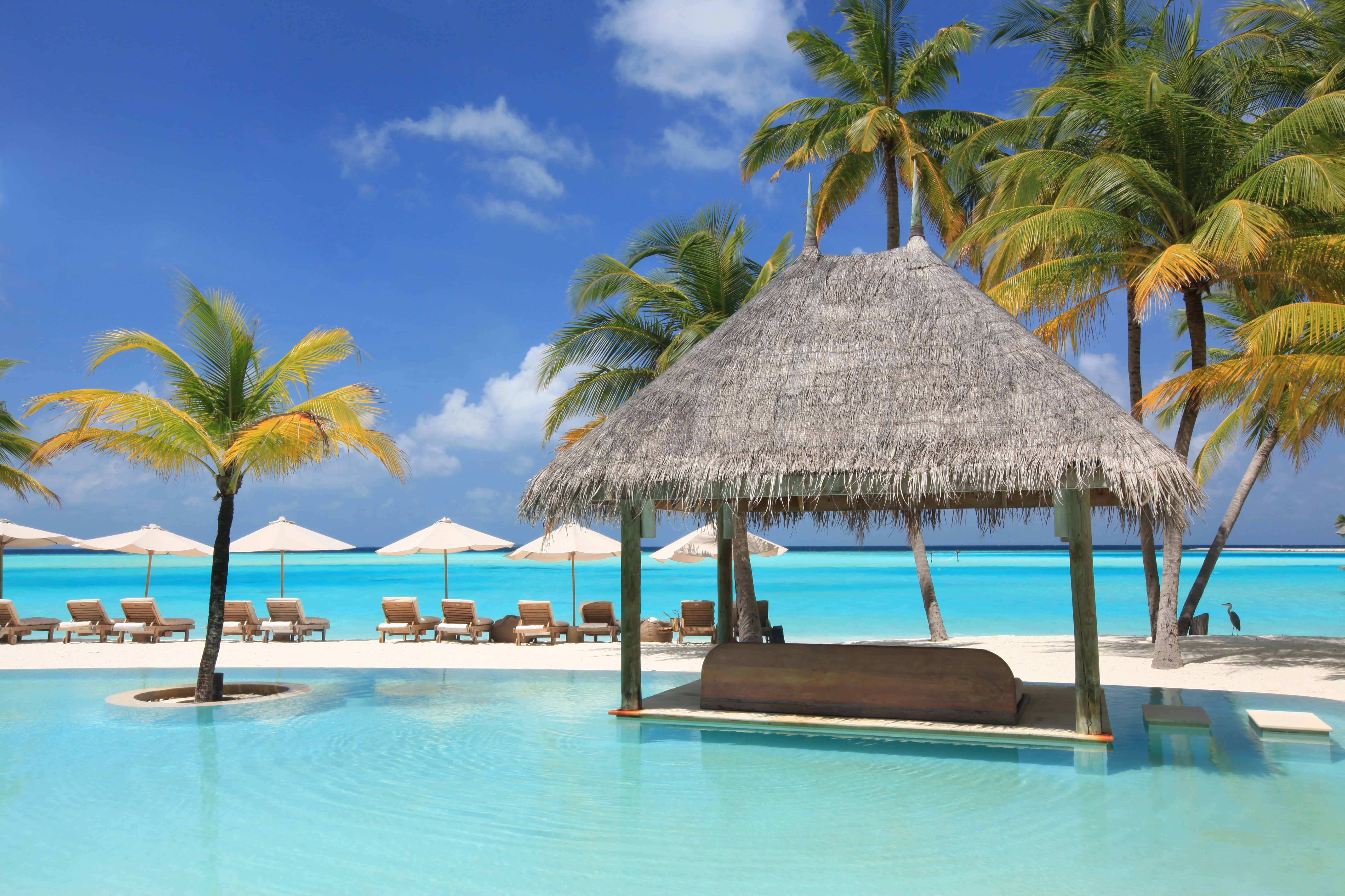 blue, umbrella, travel, swimming Pool, sea, beach, recreational Pursuit, leisure Activity, lounge chair, travel Destinations, sun beds, sunlight, vacation, HD Wallpaper
