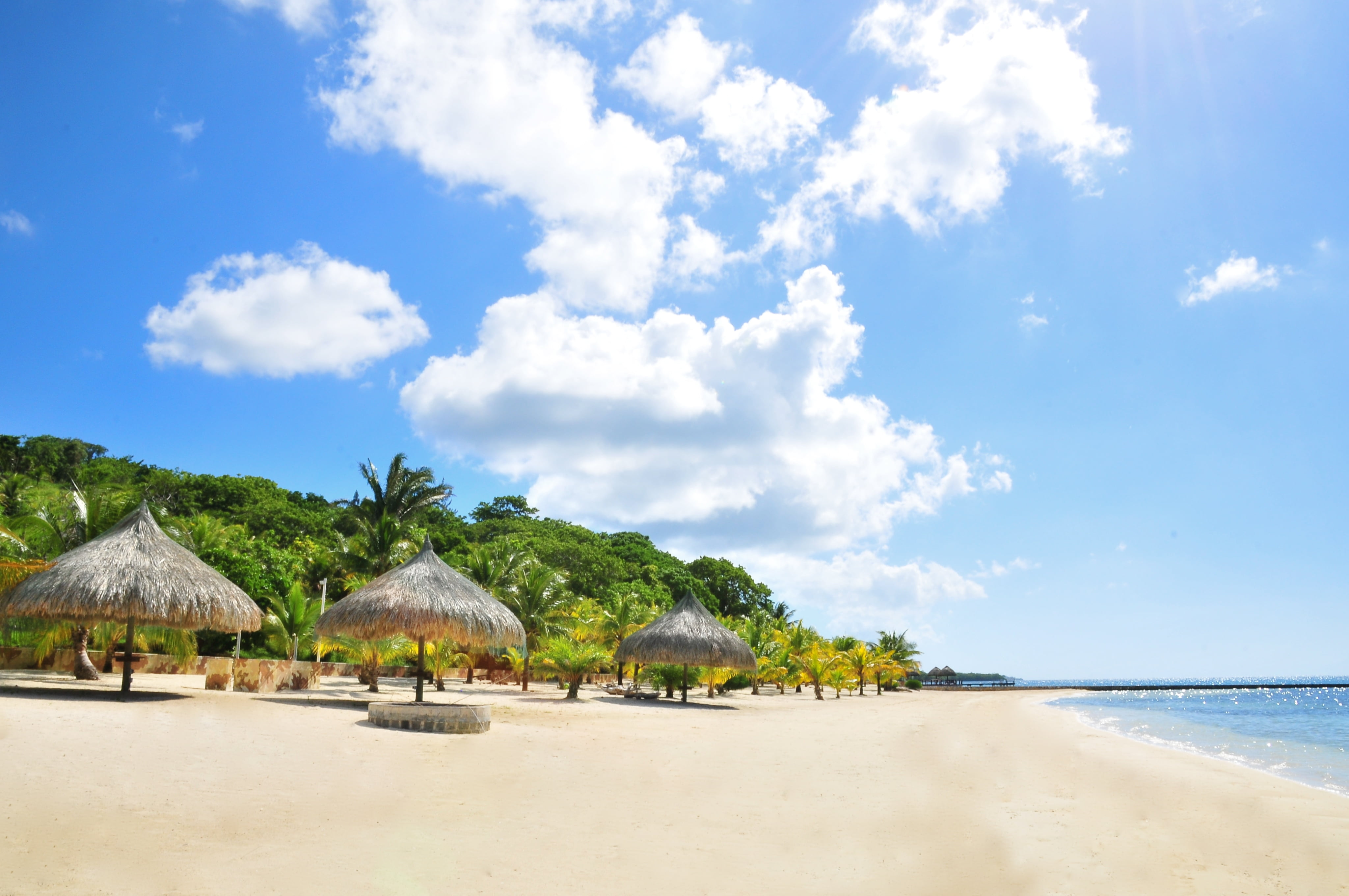 tourism, palm Tree, travel, plant, cloud - Sky, sand, sea, outdoors, waters Edge, vacations, thailand, journey, sun, caribbean Sea, beach, beauty In Nature, HD Wallpaper