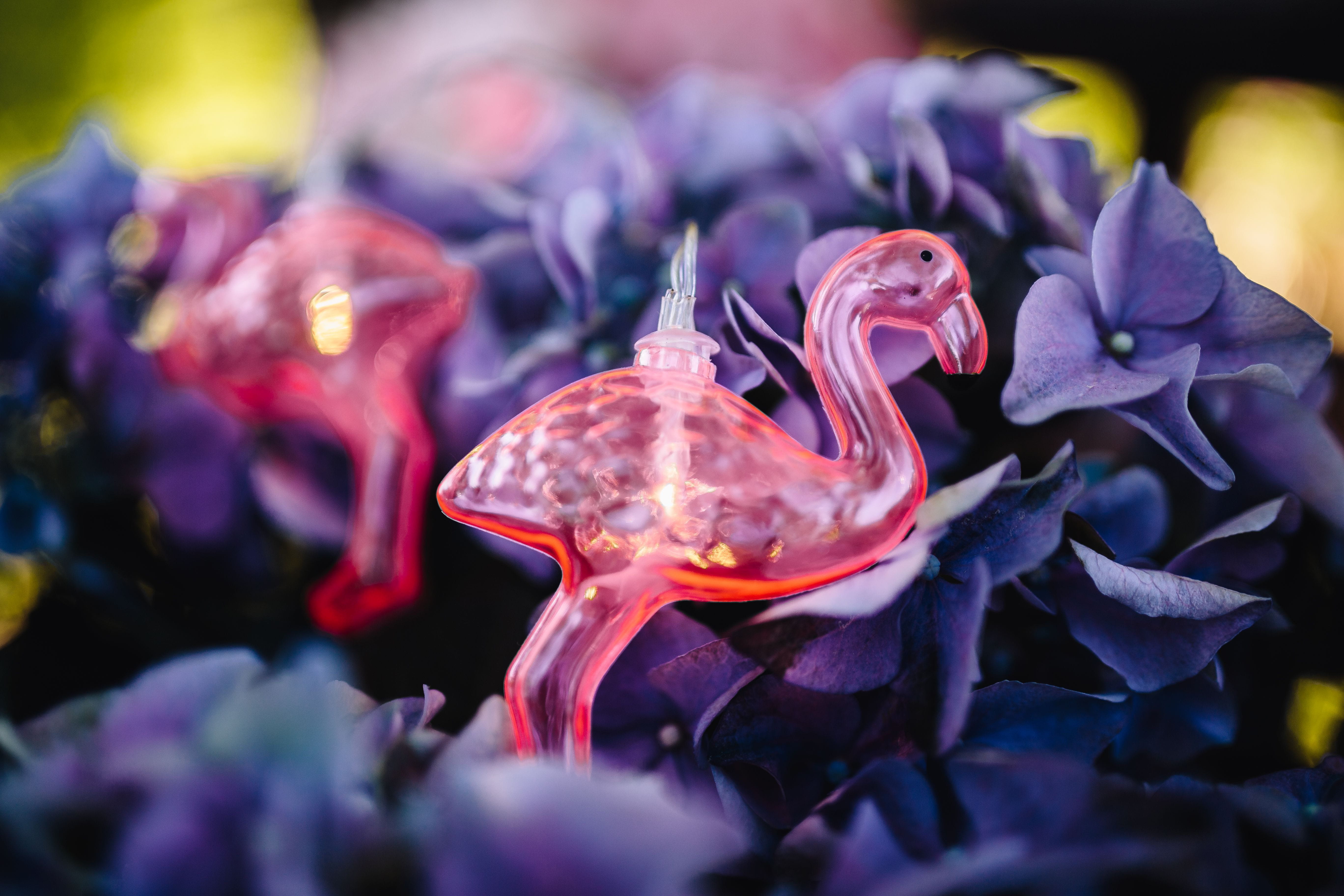 freshness, flowers, party, nature, vertebrate, animal themes, amp, animals in the wild, summer, hydrangea, macro, purple, decor, Flamingo, outdoors, rhododendron, HD Wallpaper