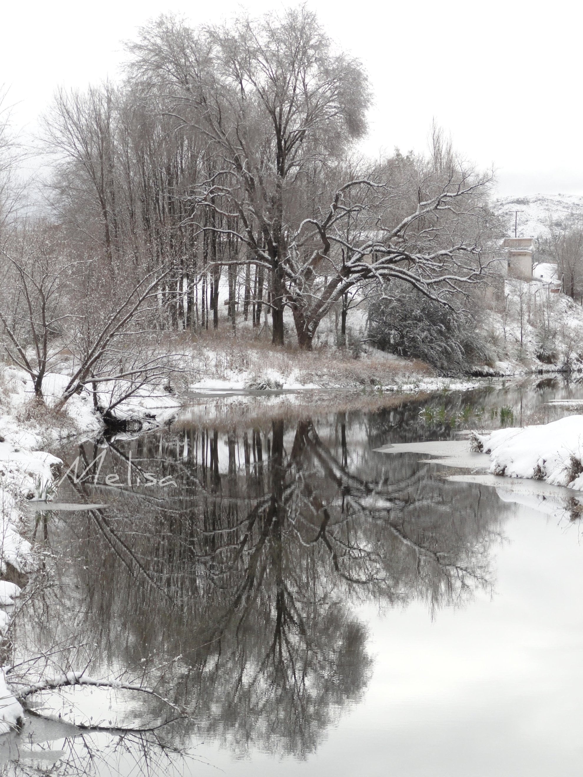 nature, blancos, arroyo, Nieve, gear, diamond, platinum, julio, Argentina, body, beside, en, me, outdoors, tree, cold - Temperature, Garay, gold, water, Phone HD Wallpaper