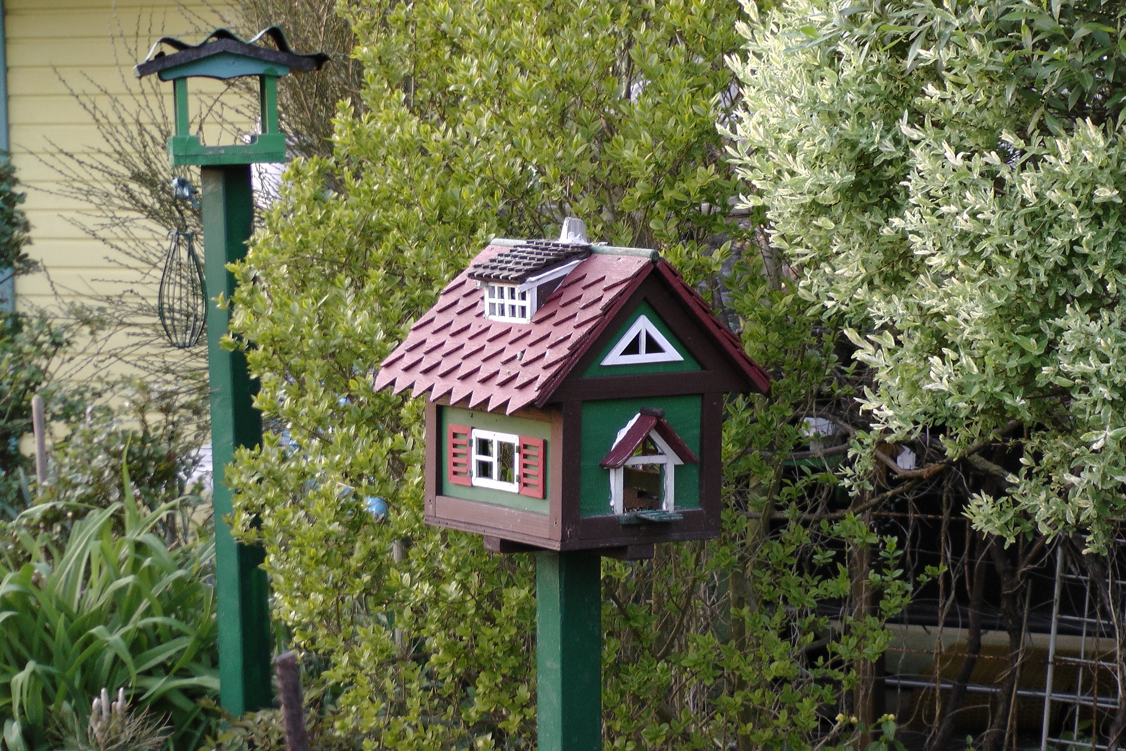 bird feeder, aviary, day, house, green, beauty in nature, growth, wood - material, building exterior, outdoors, sign, allotment, architecture, land, tree, HD Wallpaper