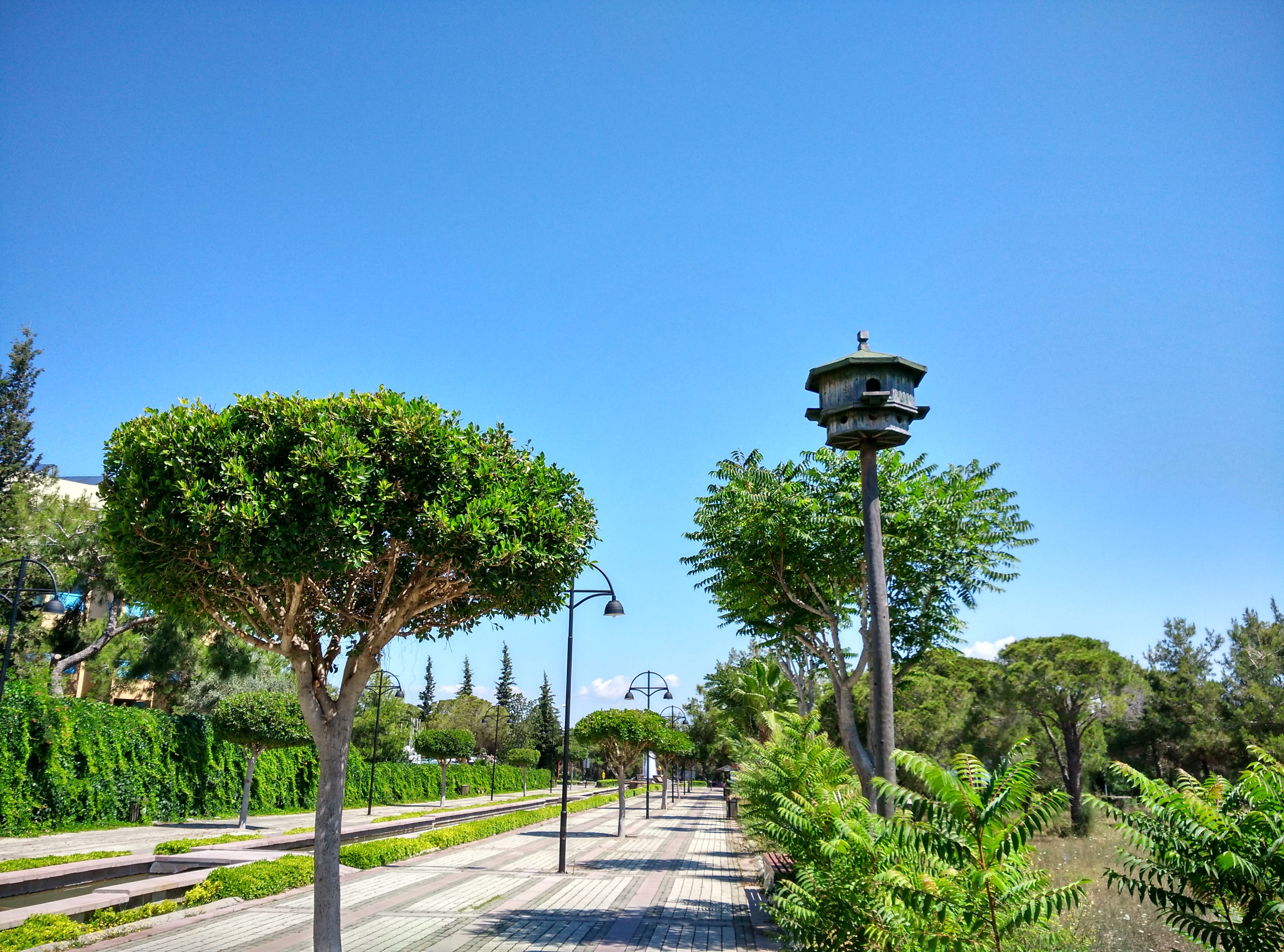 growth, green color, treelined, hotel complex, blue, the way forward, tree, architecture, footpath, street, Complex, Manavgat, clear sky, direction, 4K, HD Wallpaper
