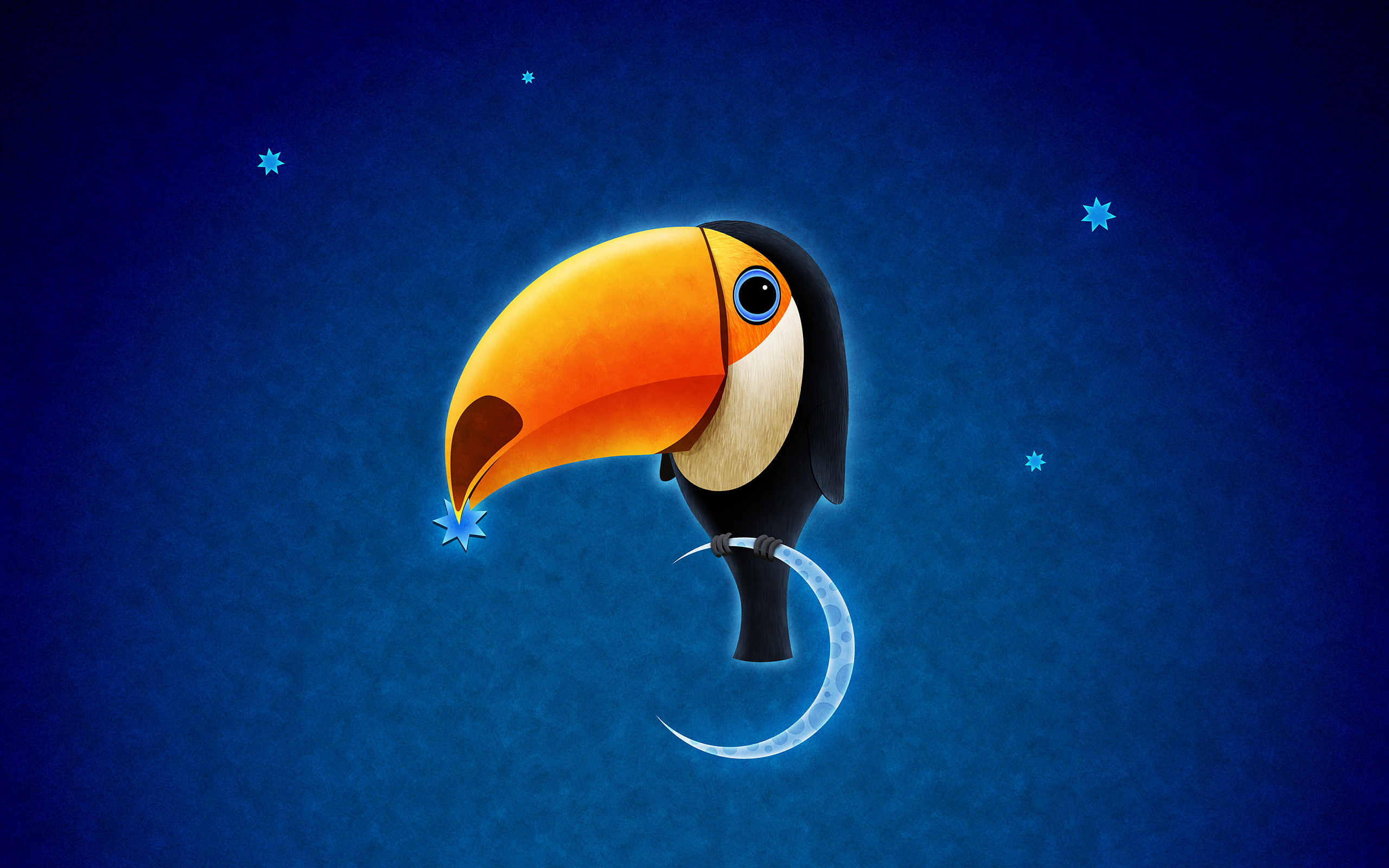 bird, toucan, 2K, HD Wallpaper