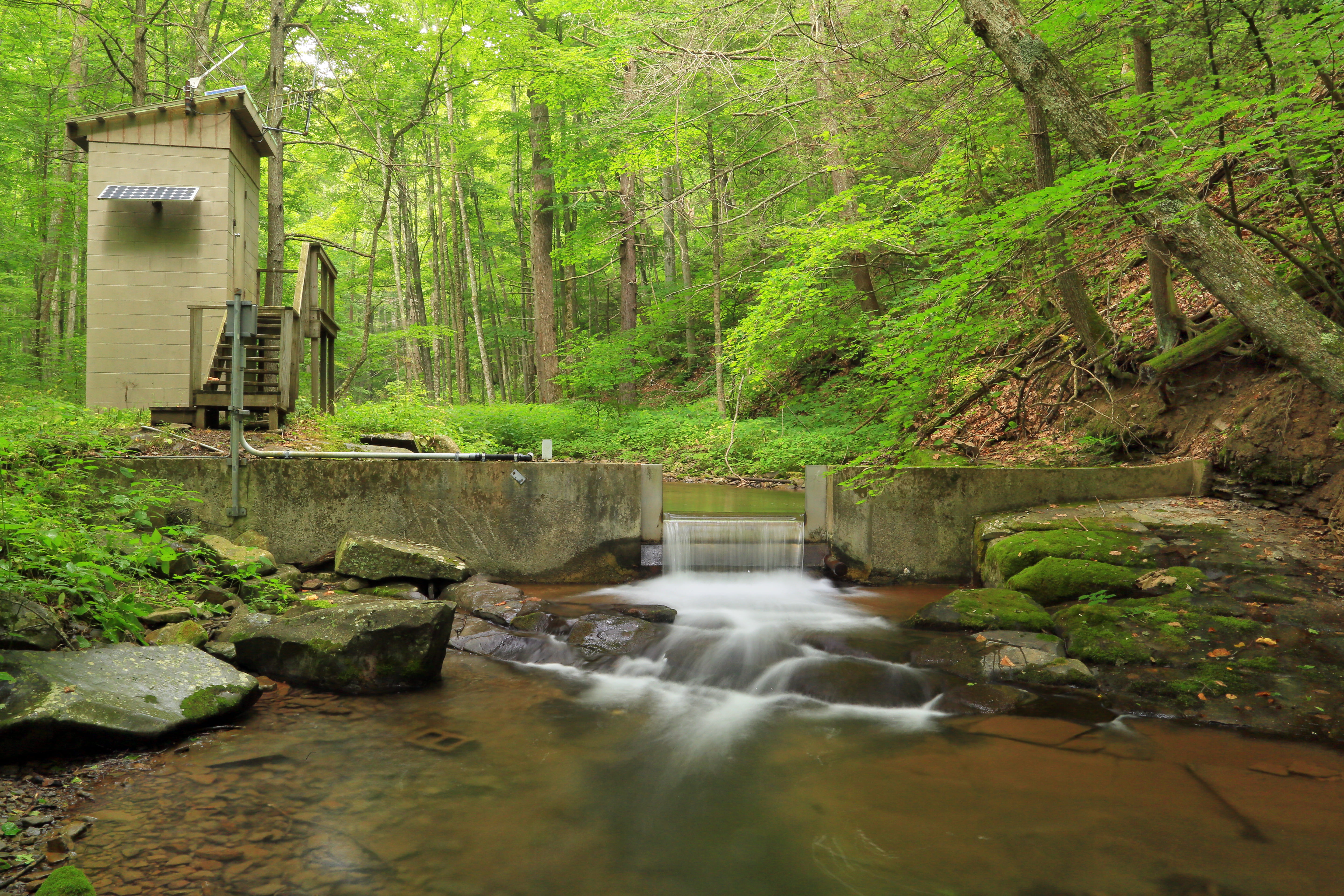 nature, outdoors, stream, trees, science, landscape, body of water, USGS, longexposure, 5K, Virginia, green Color, water, river, tree, body, near, waterfall, HD Wallpaper