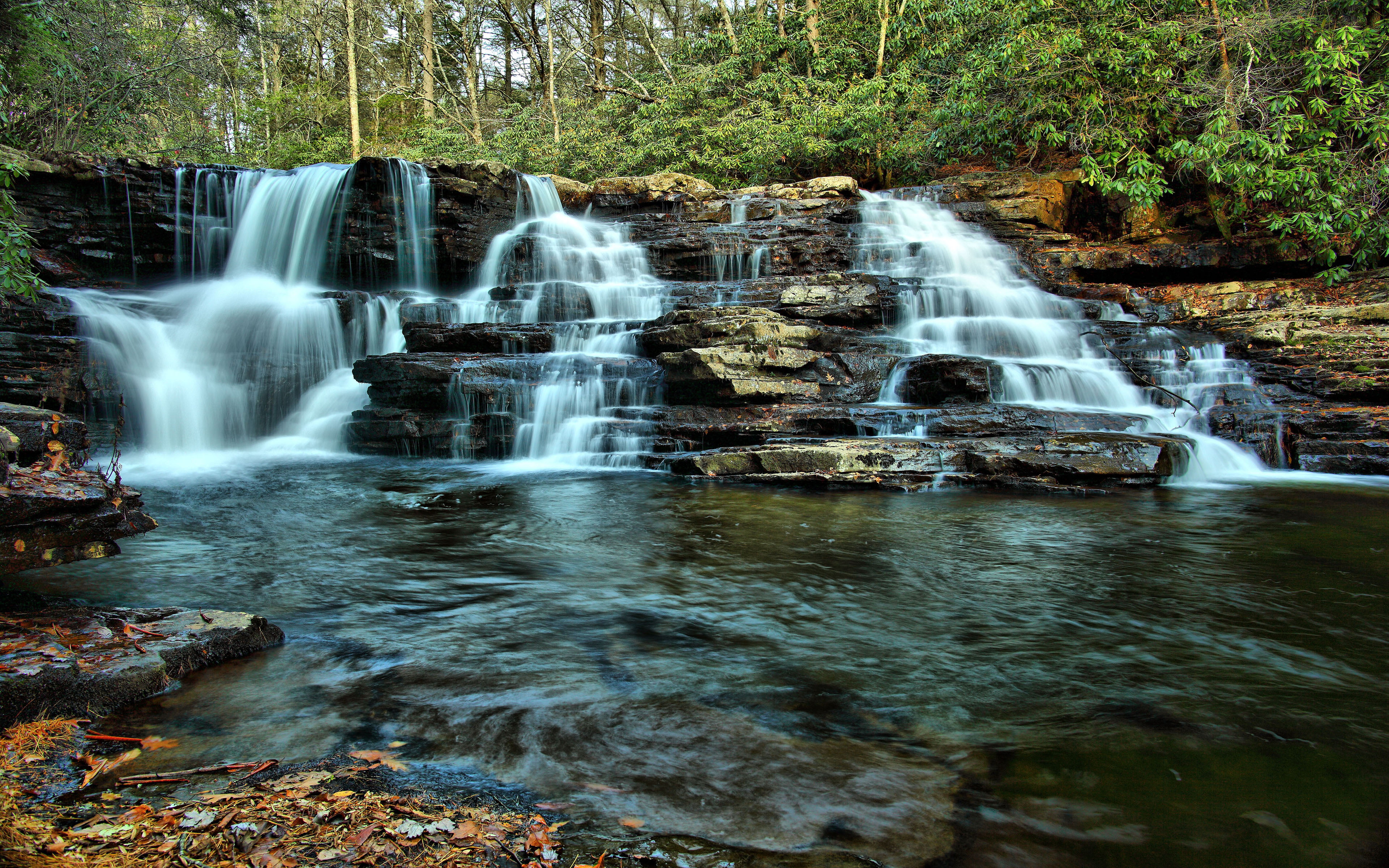 day, cascade, desktop, forest, power in nature, rainforest, land, solid, rock, hd, rock - object, flowing, tablet, running water, scenics - nature, motion, HD Wallpaper