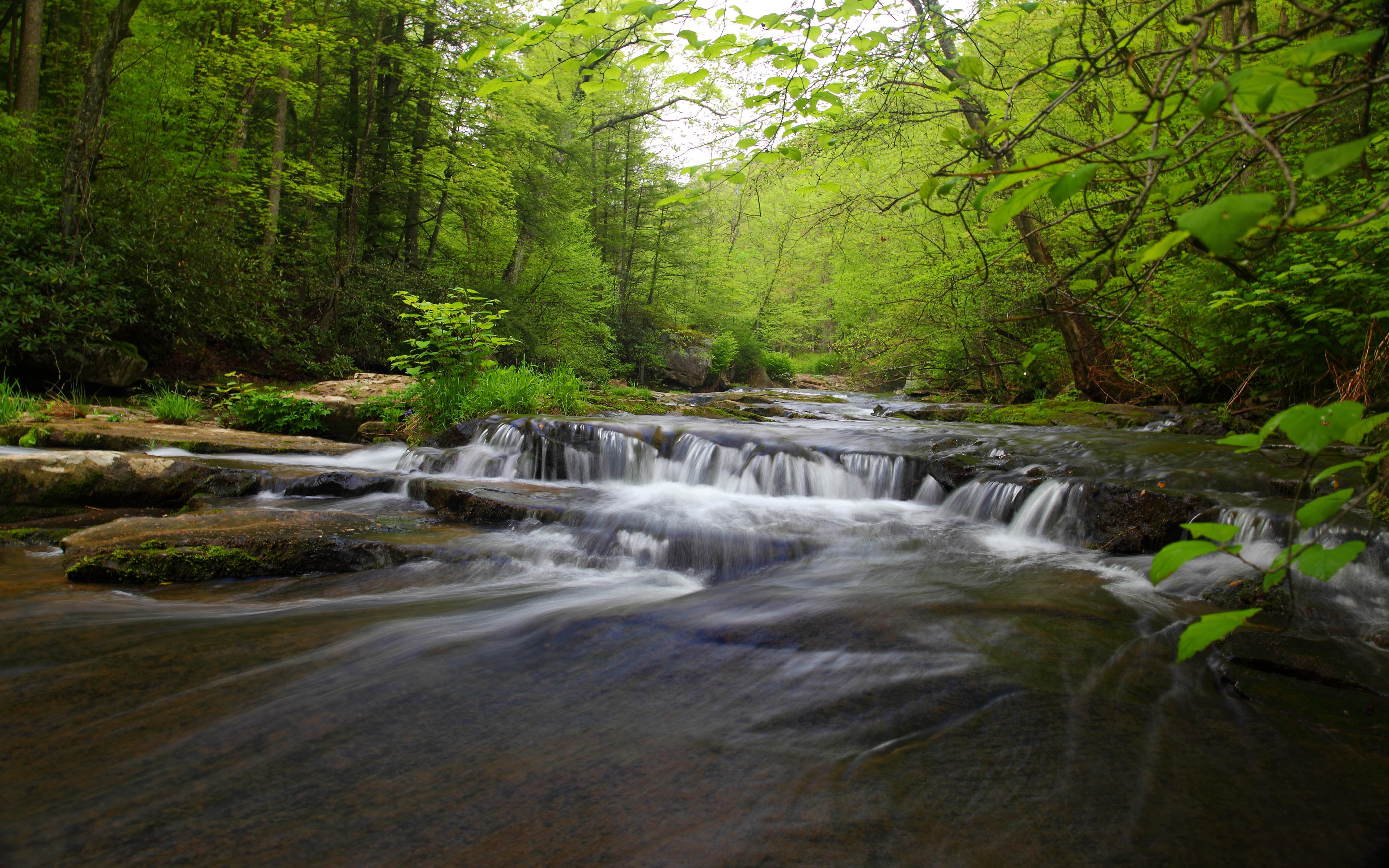 west, waterfalls, nature, water, blurred motion, outdoors, forest, resolution, mill, green color, virginia, no people, tree, flowing, stream, HD Wallpaper