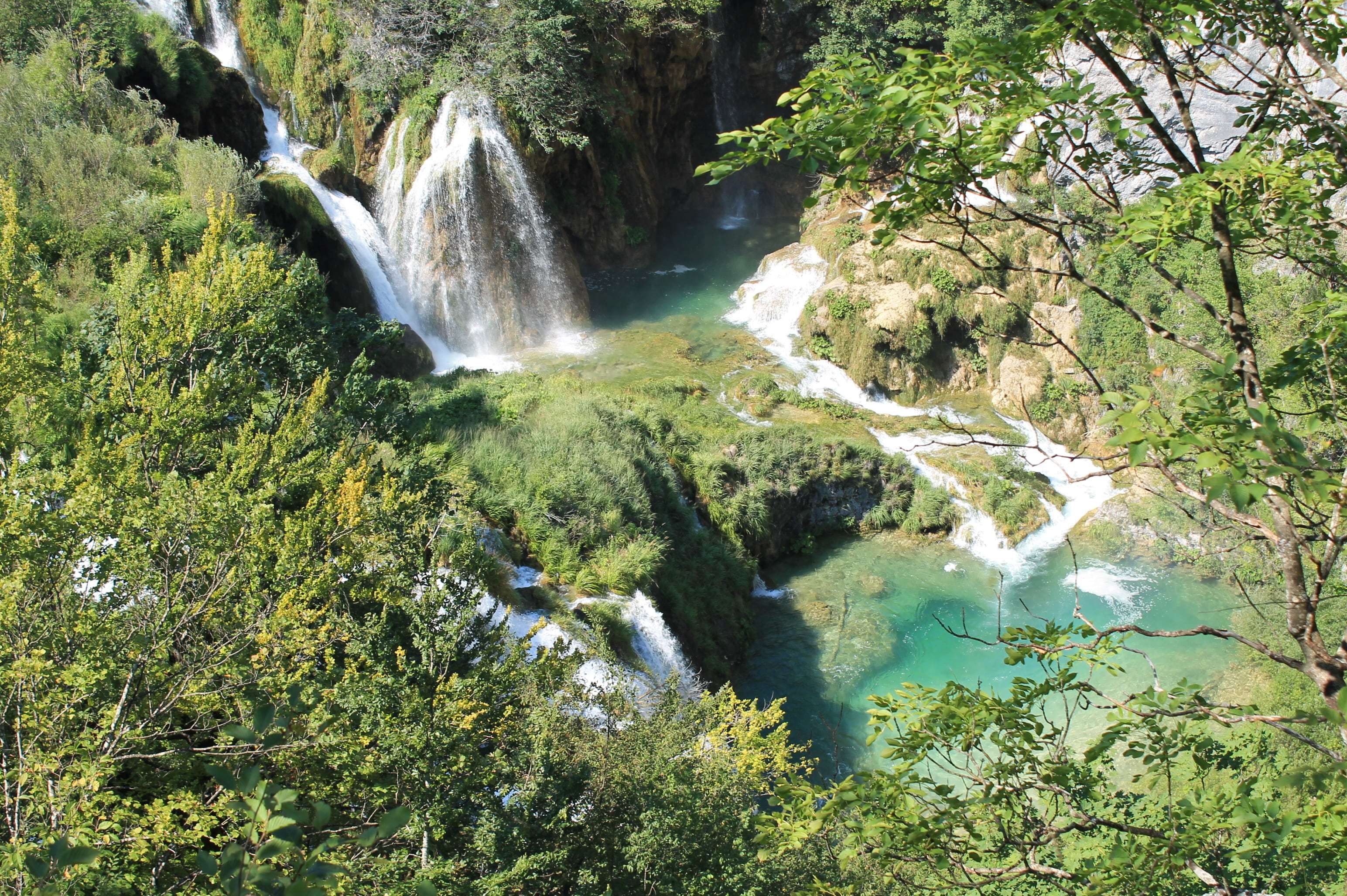 growth, green color, no people, water, waterfall, the national park, non-urban scene, motion, scenics - nature, flowing, 2K, plitvice lakes, land, plant, HD Wallpaper