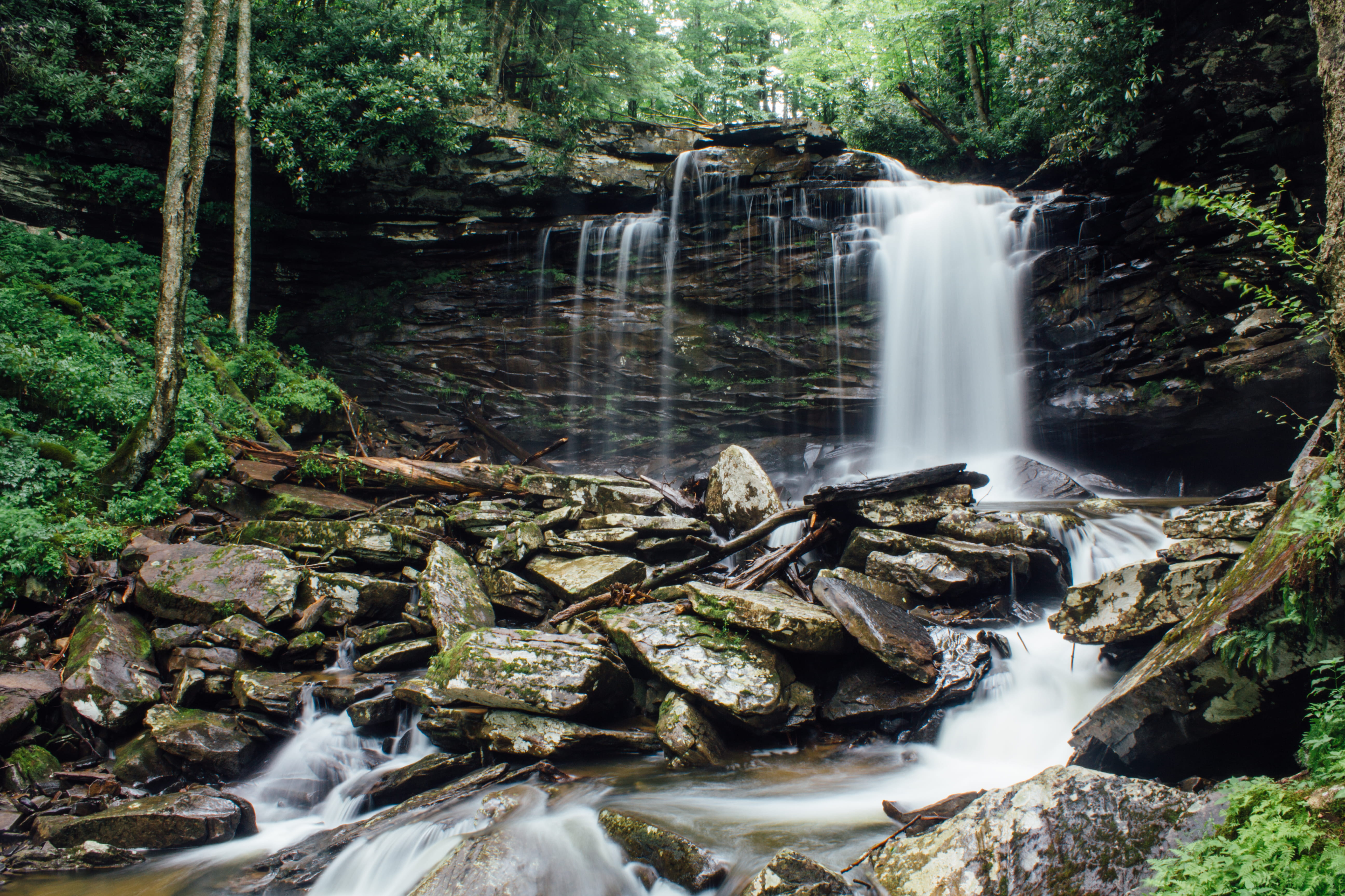 forest, falling water, trees, adventure, wilderness, united states, waterfall, scenics - nature, no people, flowing water, plant, creek, rock, stream - flowing water, HD Wallpaper