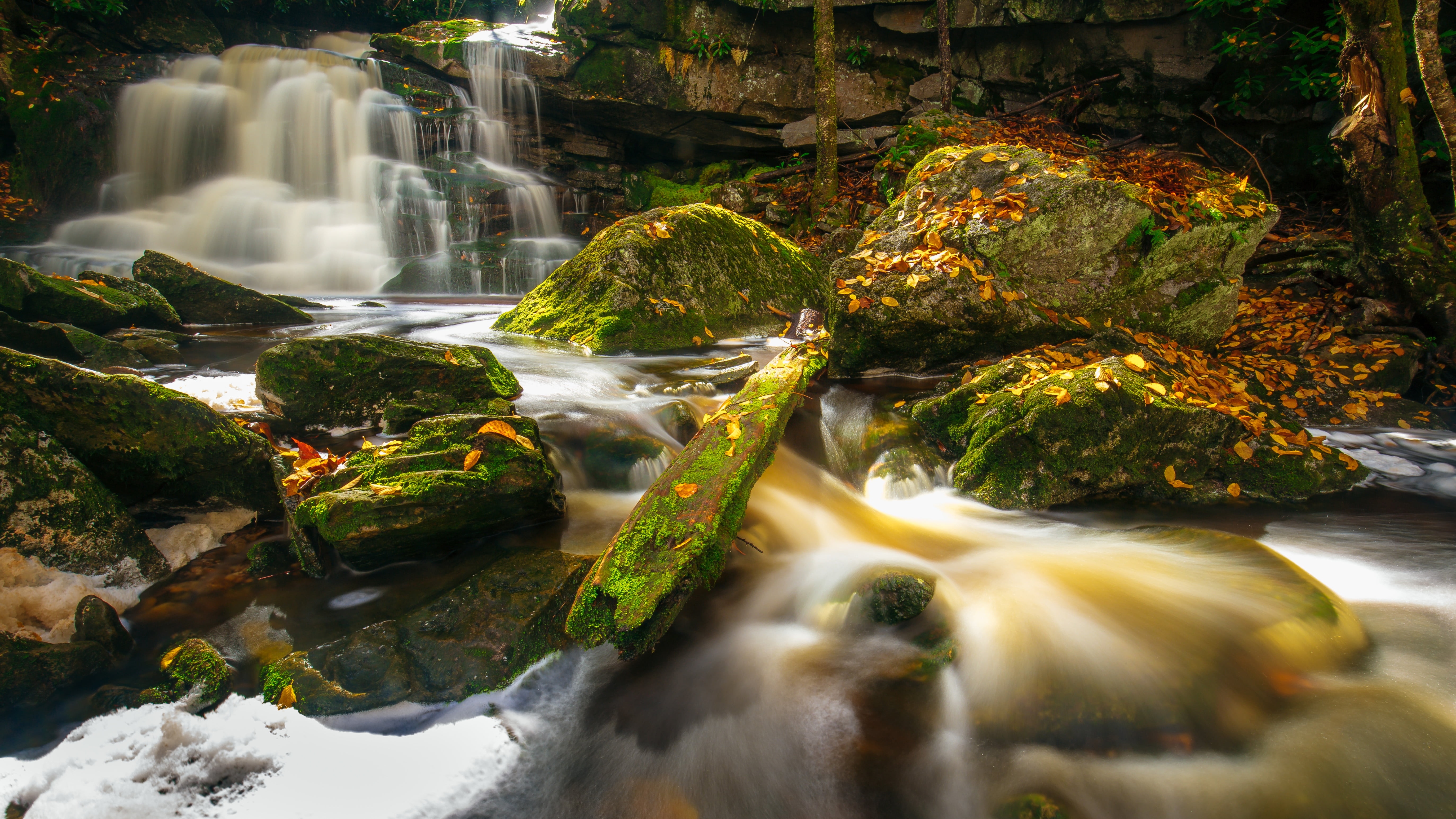 River Shays Run, Shays Run, river, 5K, leaves, West Virginia, Elakala Falls, Blackwater Falls State Park, The Waterfall Was Elakala, autumn, waterfall, HD Wallpaper