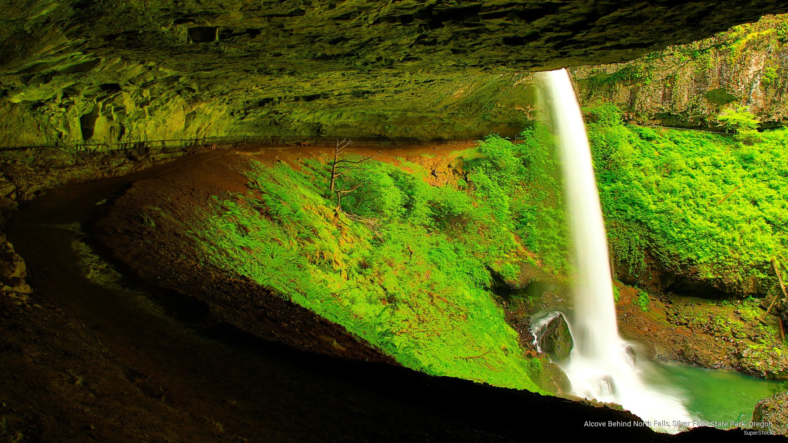 2K, oregon, silver, falls, north, alcove, behind, state, Waterfalls, park, HD Wallpaper