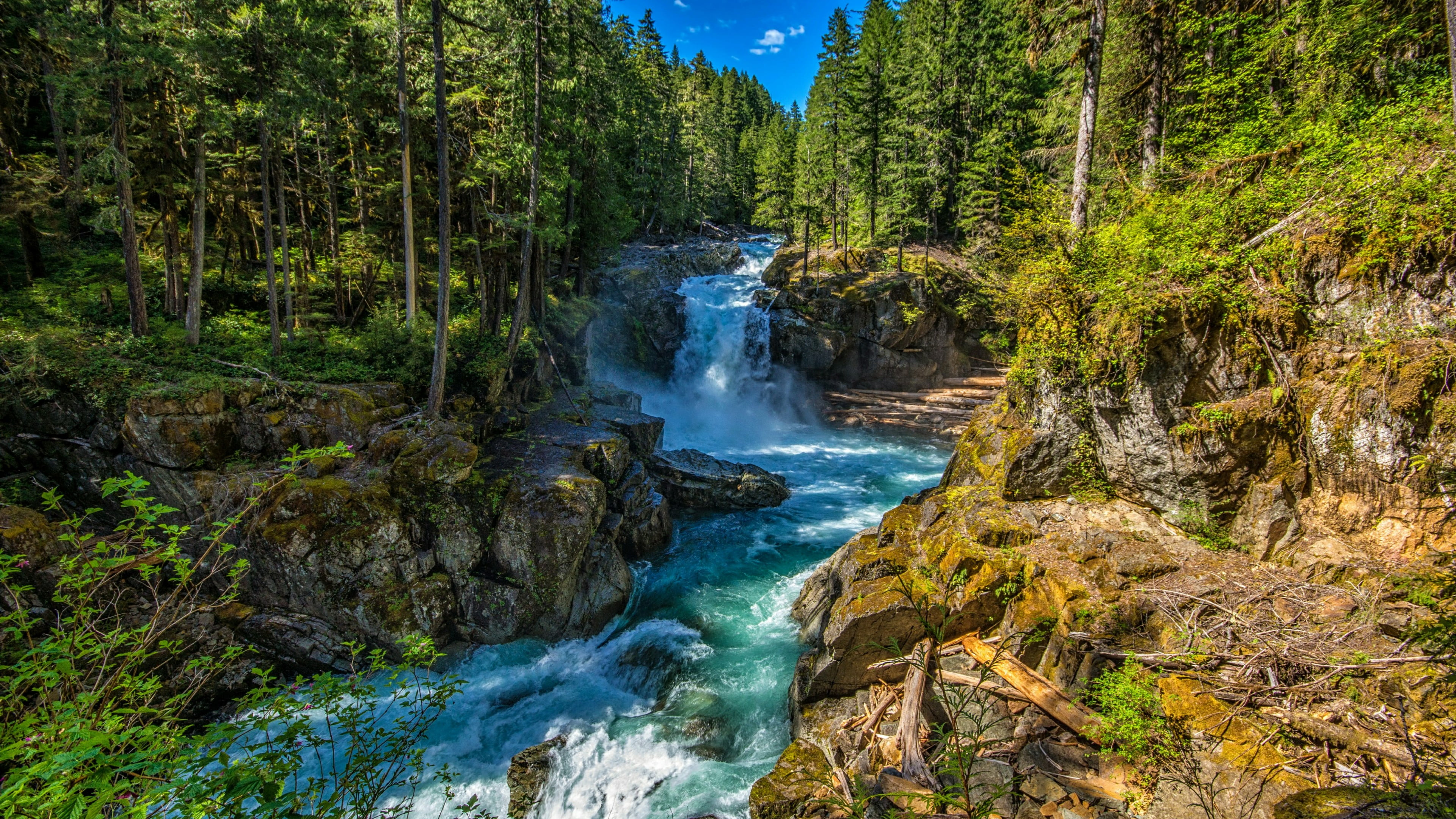 outdoors, motion, flowing water, tranquility, flowing, plant, land, united states, water, solid, mount rainier national park, silver falls, beauty in nature, HD Wallpaper