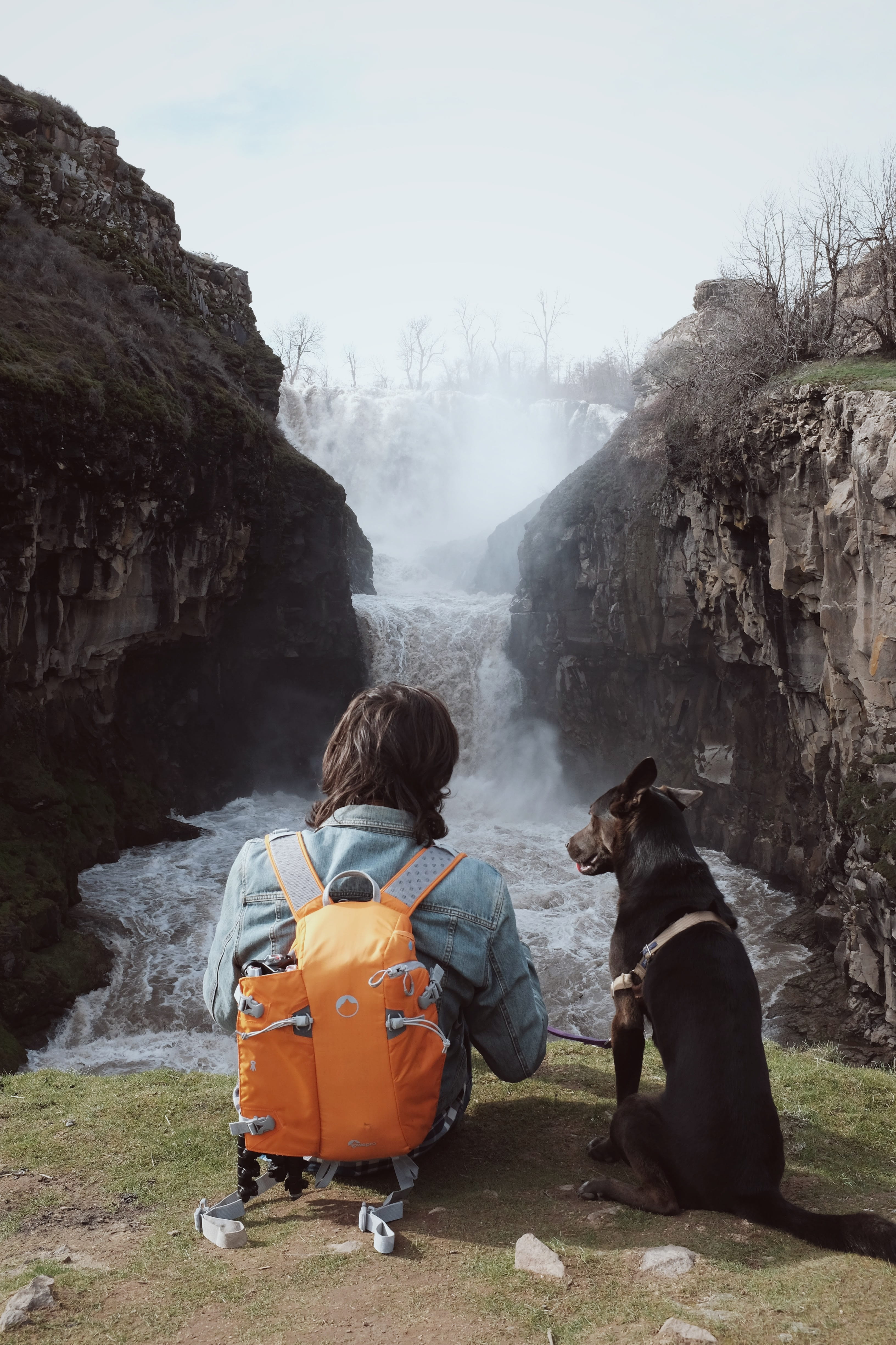 real people, one animal, adventure, rocks, dog, 4K, mammal, day, pets, rock, men, nature, looking at view, sublimity, waterfall, sitting, silver falls state park, Phone HD Wallpaper