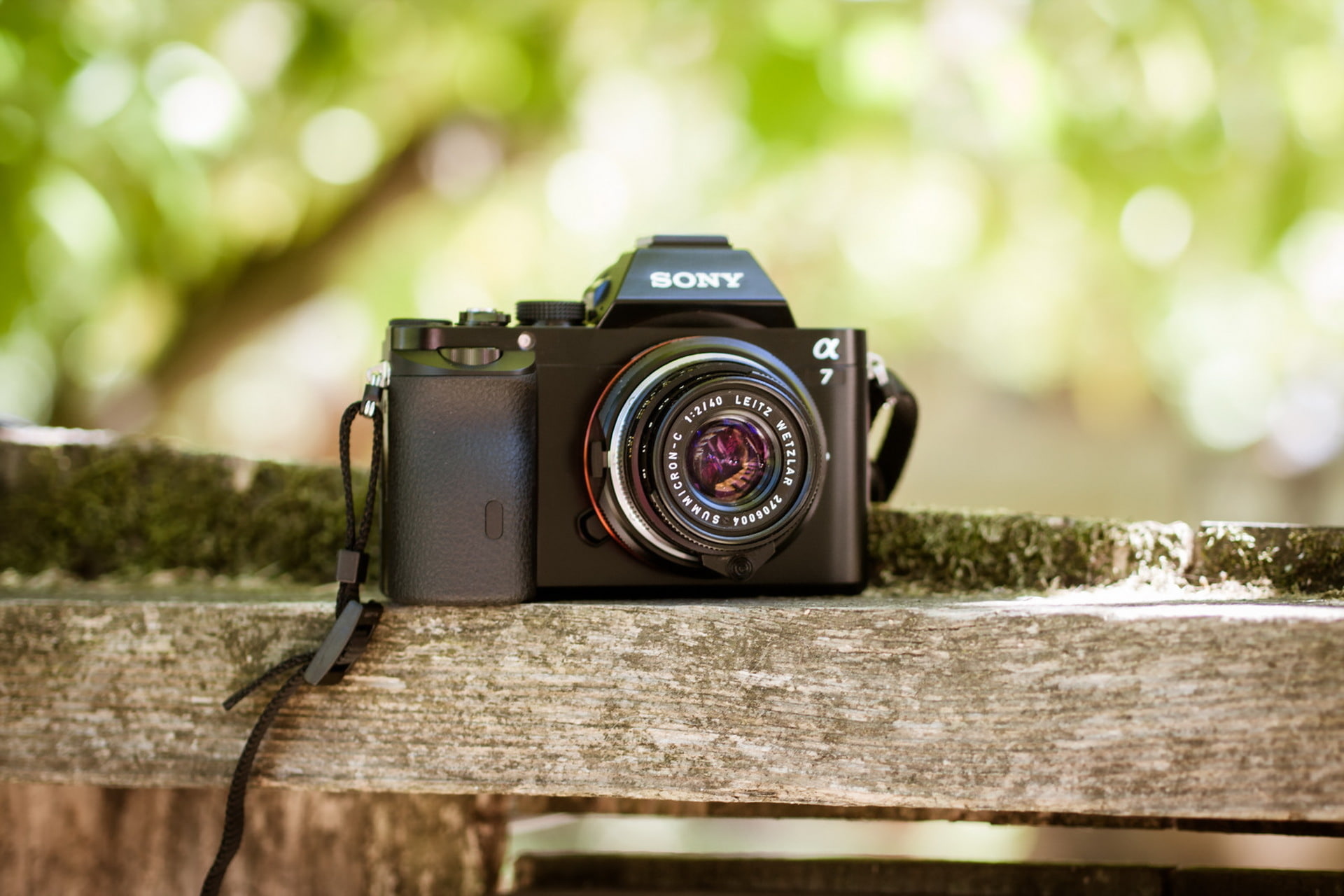 camera, Sony A7, Leica 40mm f2 Summicron-C, macro, 1080P, HD Wallpaper