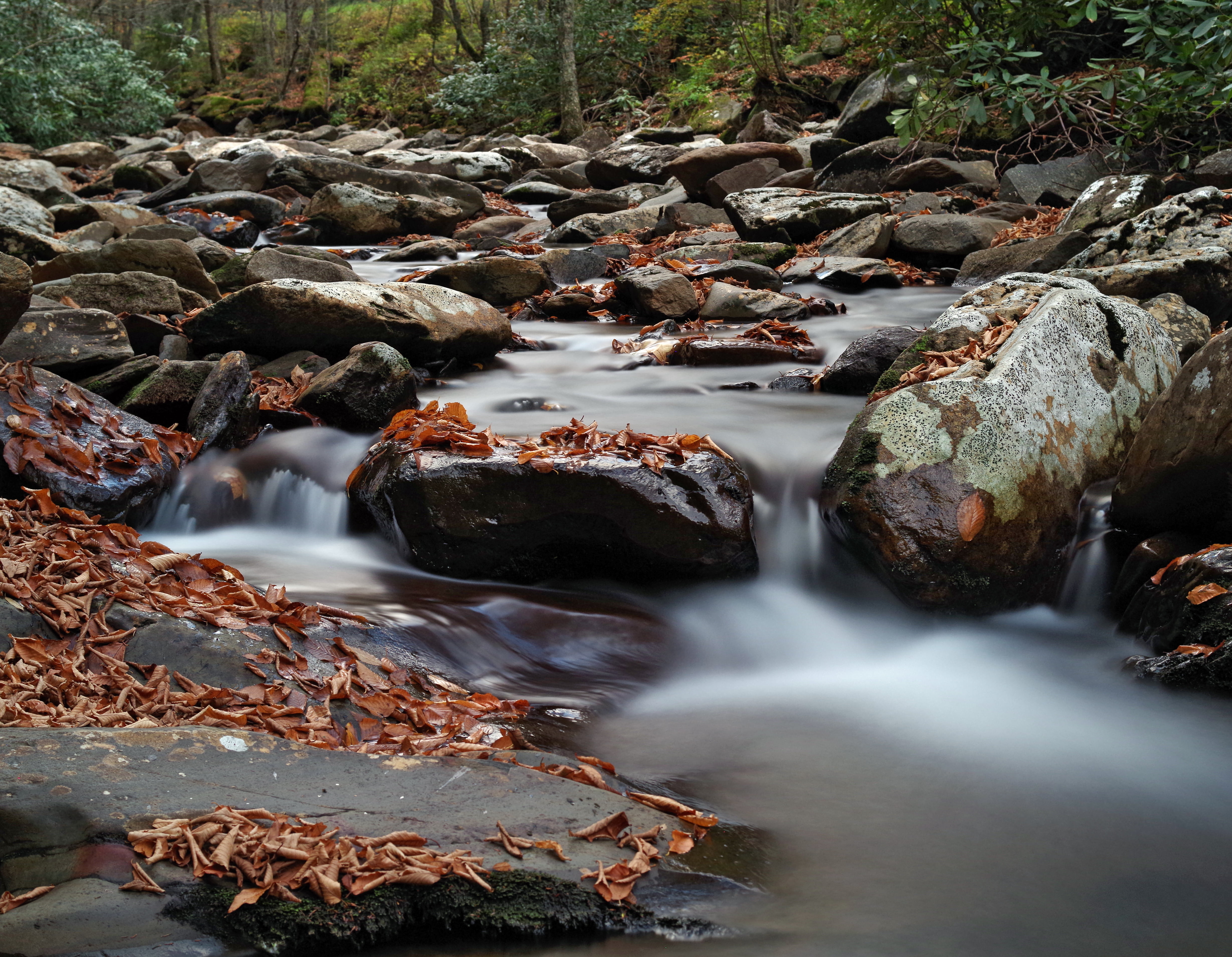 Fall, Popular, Beauty, Rocky, Prong, waterfall, flowing, Natural, Boulders, Pentax K-01, best, photography, Great Smoky Mountains, US 441, Mountain Stream, HD Wallpaper