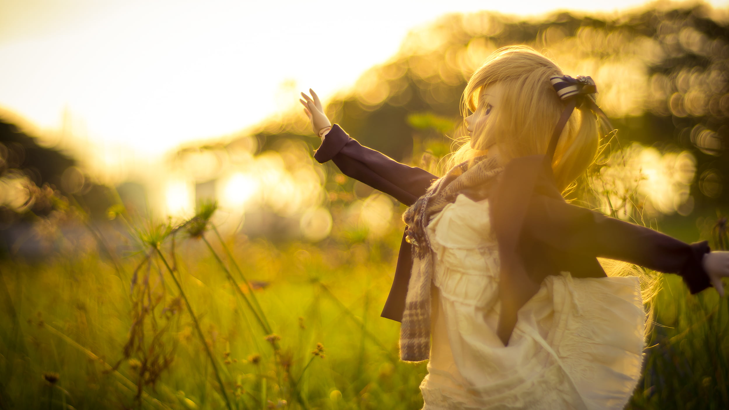 green grass, sunlight, 40mm, sunset, パ, nature, Beatrice, relaxation, caucasian Ethnicity, summer, enjoyment, figure, grass field, f1.4, women, young Adult, HD Wallpaper