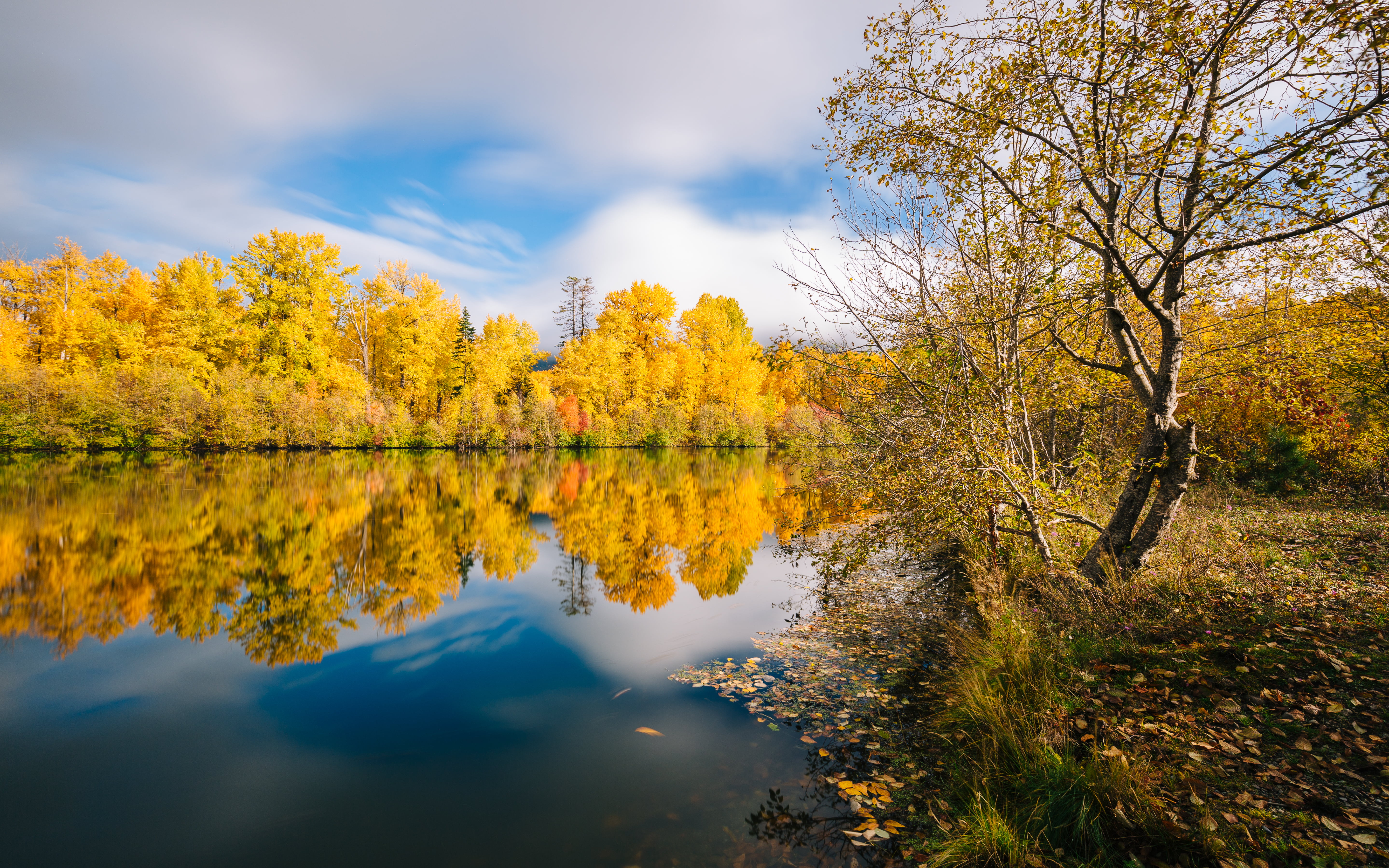 ND, trees, 35mm, gold Colored, leaf, 5K, tree, beauty In Nature, landscape, body, B+W, body of water, Autumn Colors, autumn, Pacific Northwest, calm, water, HD Wallpaper