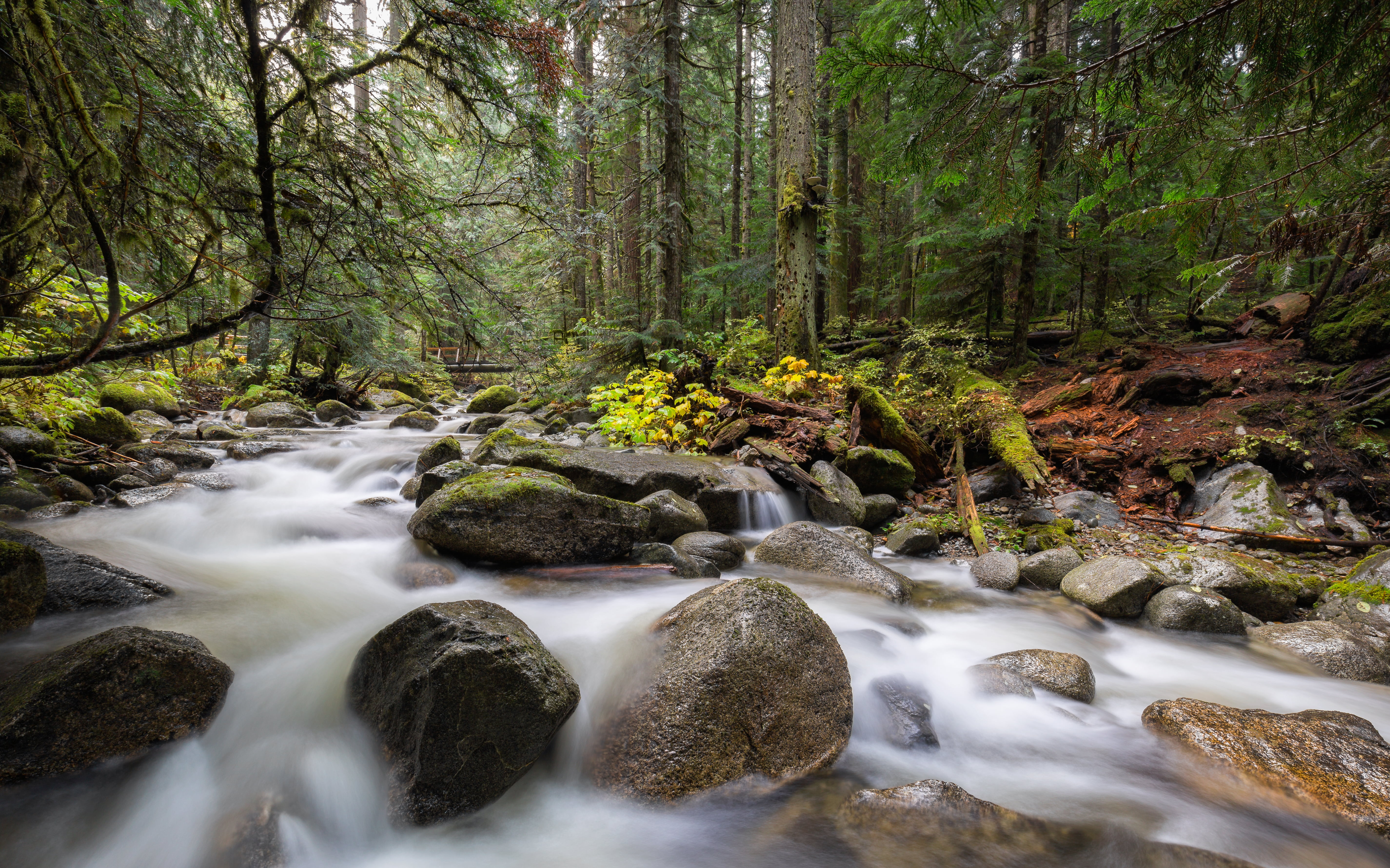 waterfall, tree, brown, forest, outdoors, long exposure, trees, water, scenics, 35mm, 4L, Deception, photography, Let It Go, green, running, Pacific Northwest, HD Wallpaper