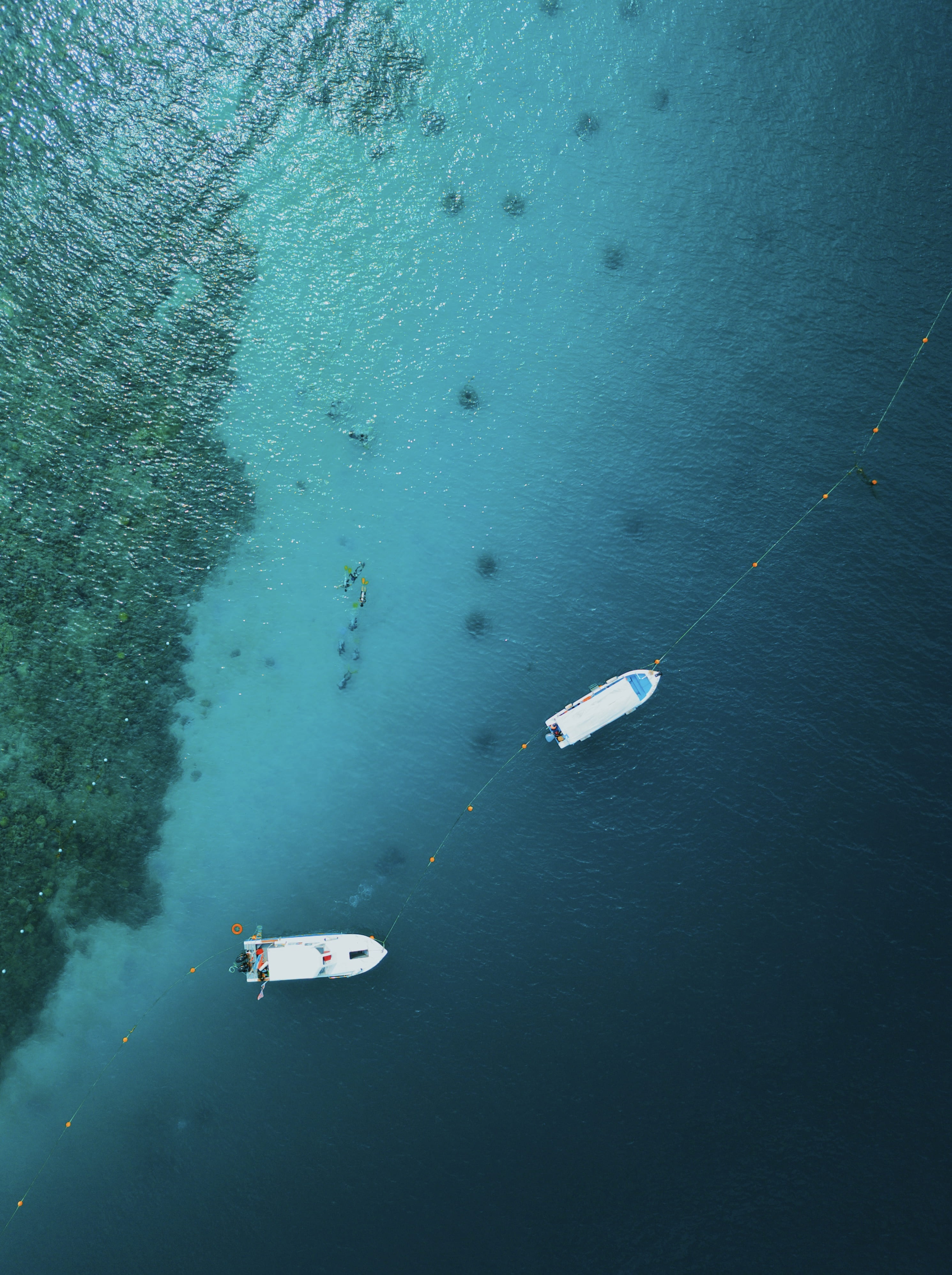 topdown, docked, dive, motor, island, waterfront, calm, high angle view, boat, paradise, clear, aerial view, drone view, two, float, diving, holiday, beauty in nature, Phone HD Wallpaper