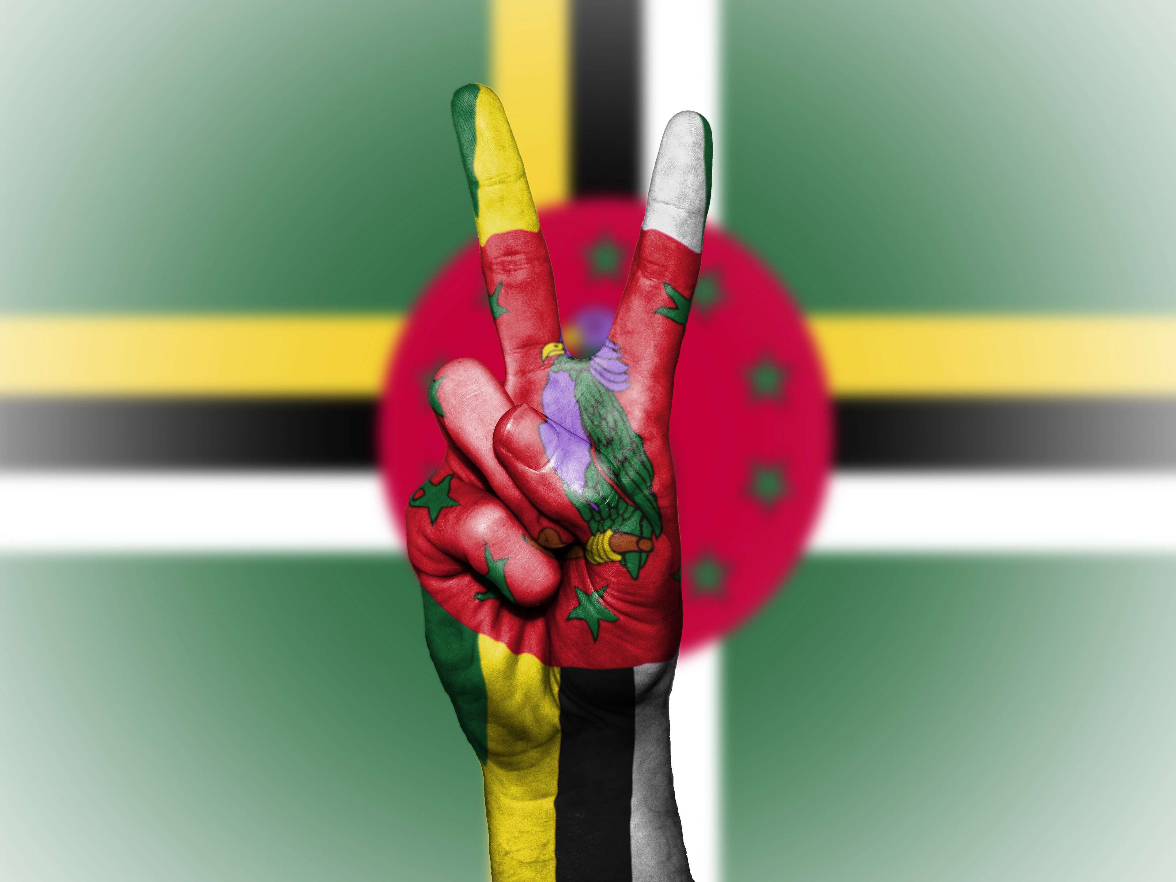 creativity, peace, royalty, flag, front view, country, hand, nation, multi colored, standing, 4K, green color, tourism, paint, state, graphic, finger, HD Wallpaper