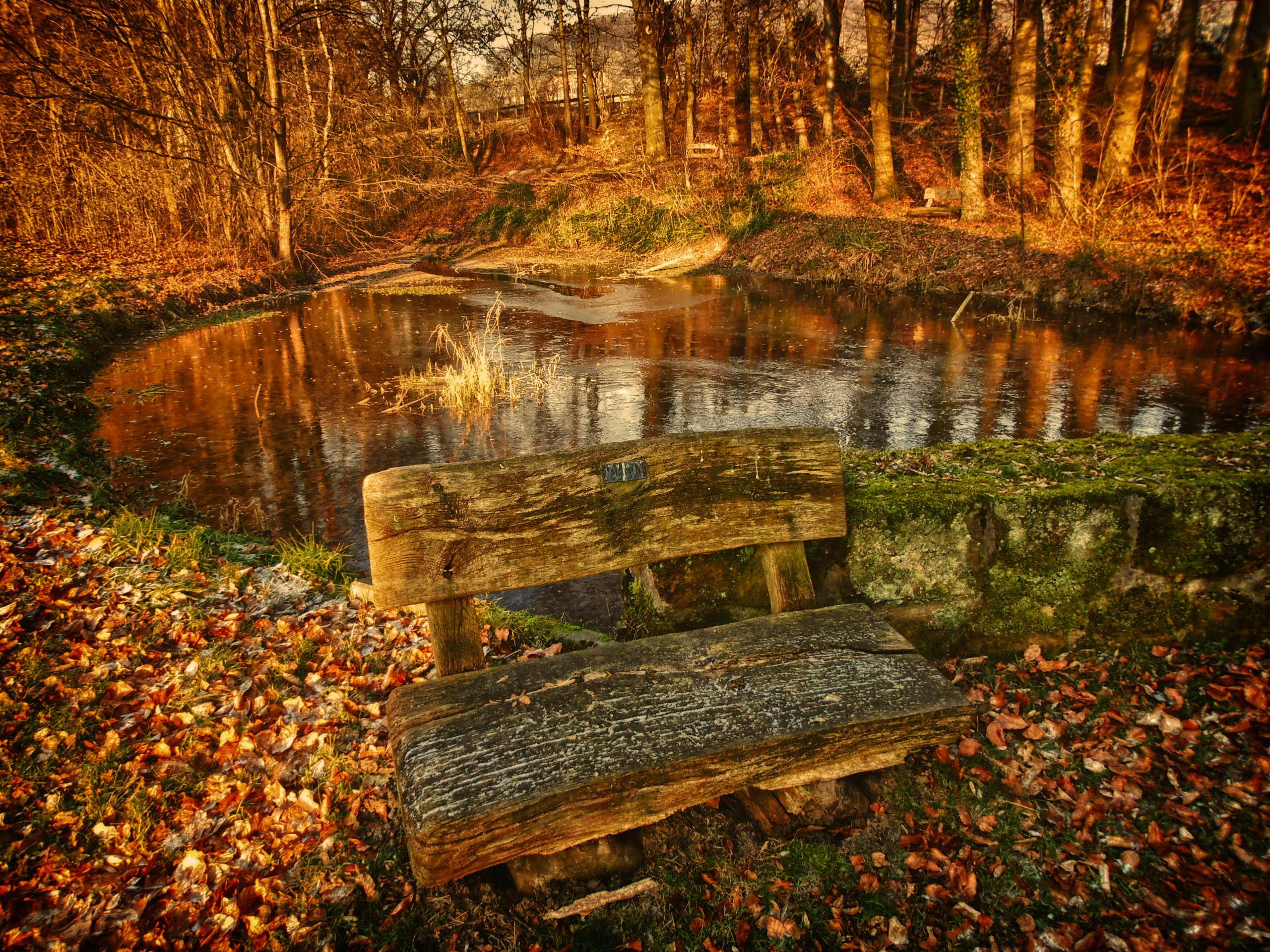 nice, bench, nature, rest, 3d and abstract, autumn, place, 2K, HD Wallpaper