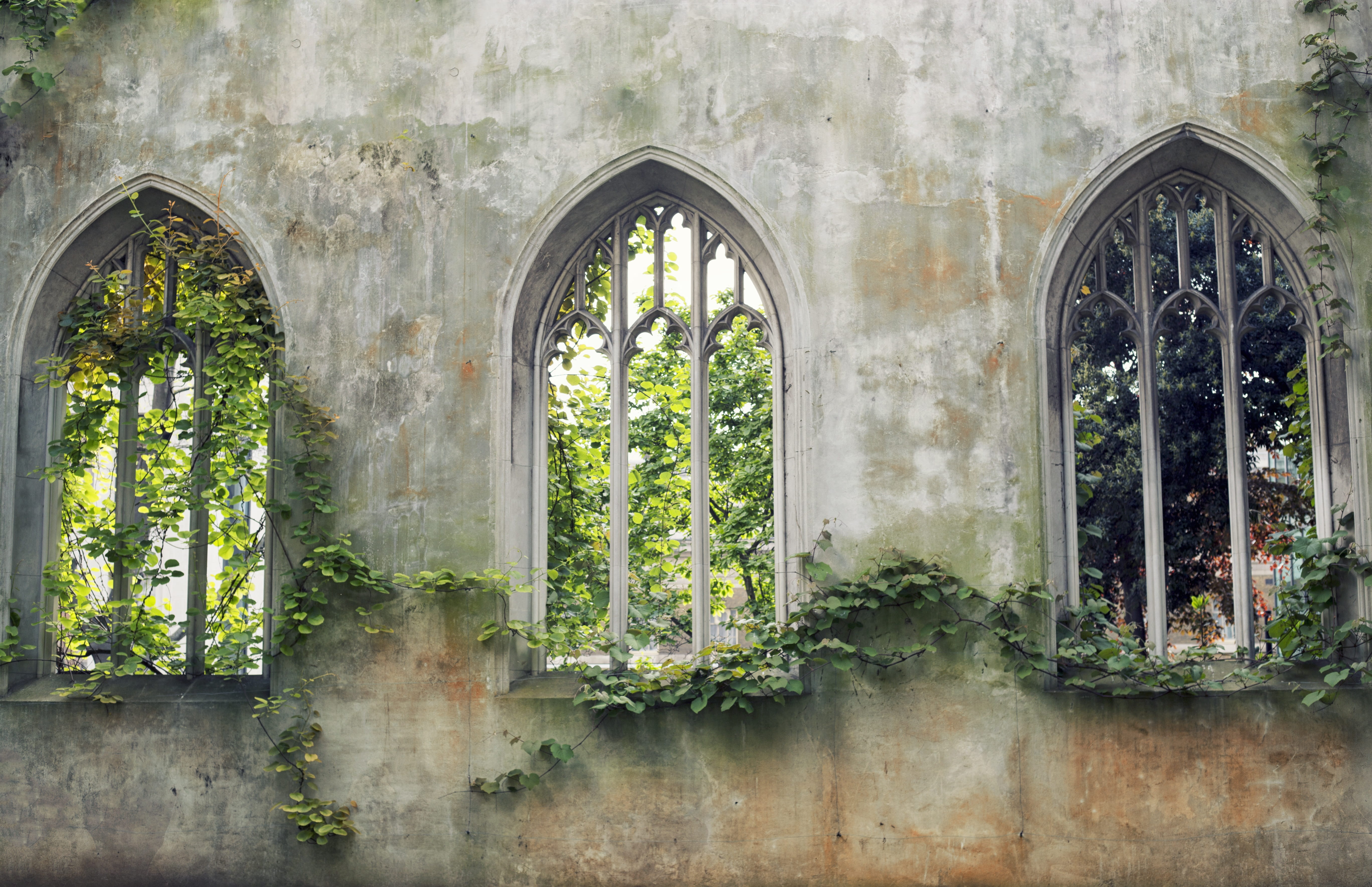 spring, trees, building, wall, architecture, summer, brown, branch, concrete, history, leaf, built structure, windows, outdoors, near, arch, royal garden, HD Wallpaper