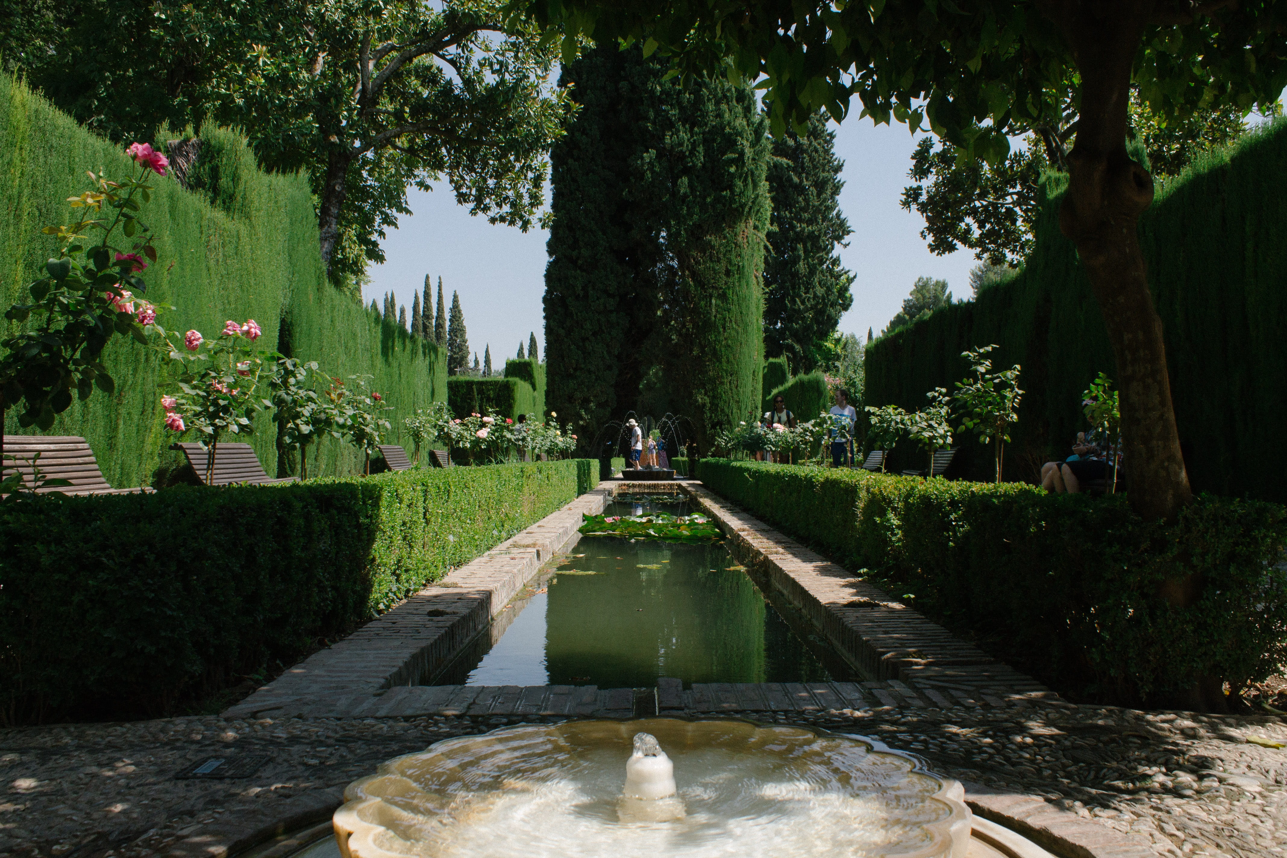 hedge, green color, tranquility, garden, park, water, tree, gardens, day, seville, 4K, beauty in nature, reflection, growth, formal garden, no people, HD Wallpaper
