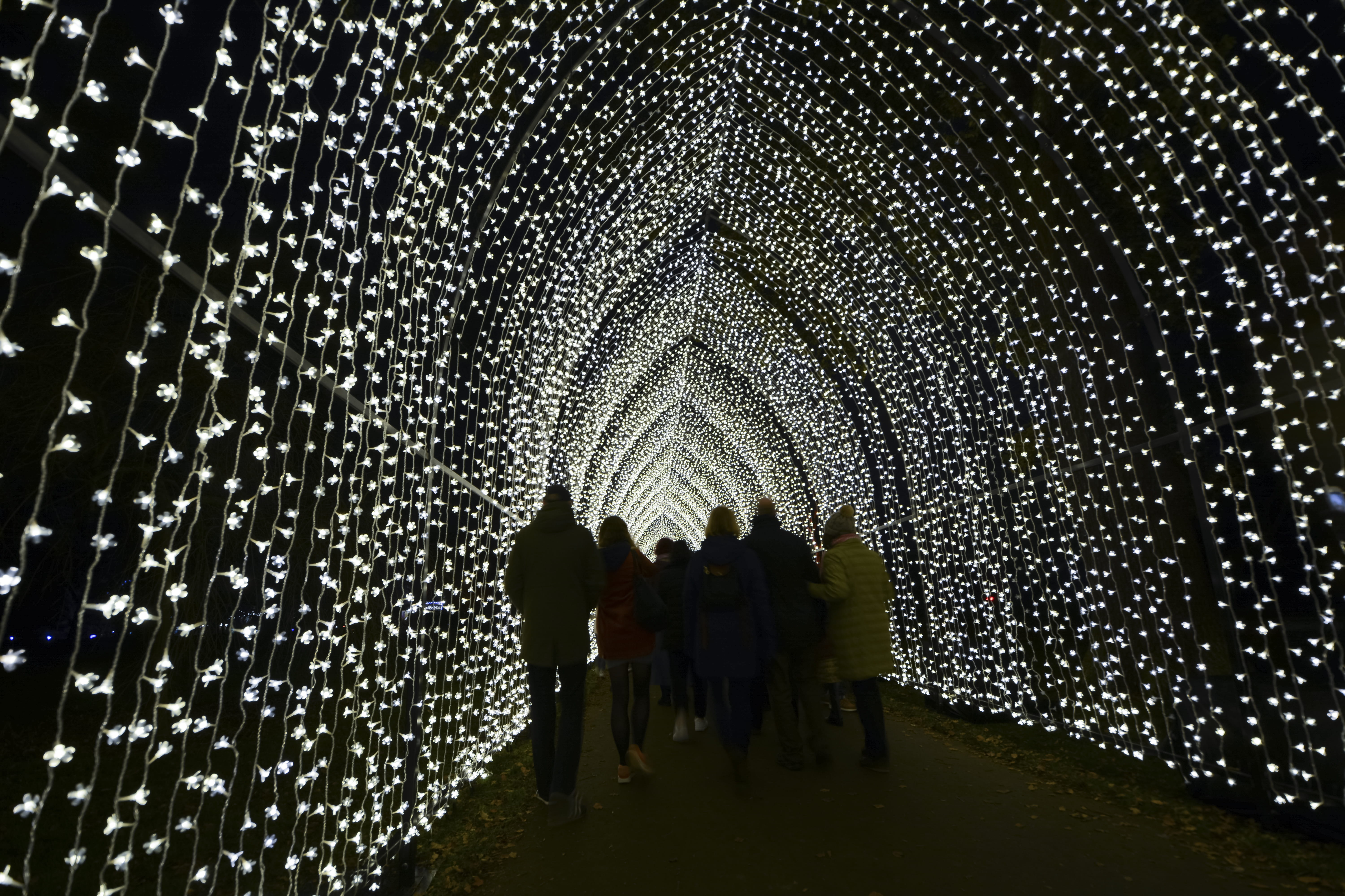 lights, lifestyles, Christmas at Kew, built structure, architecture, illuminated, outdoors, men, light, building, london, 5K, Christmas, belief, large group of people, HD Wallpaper