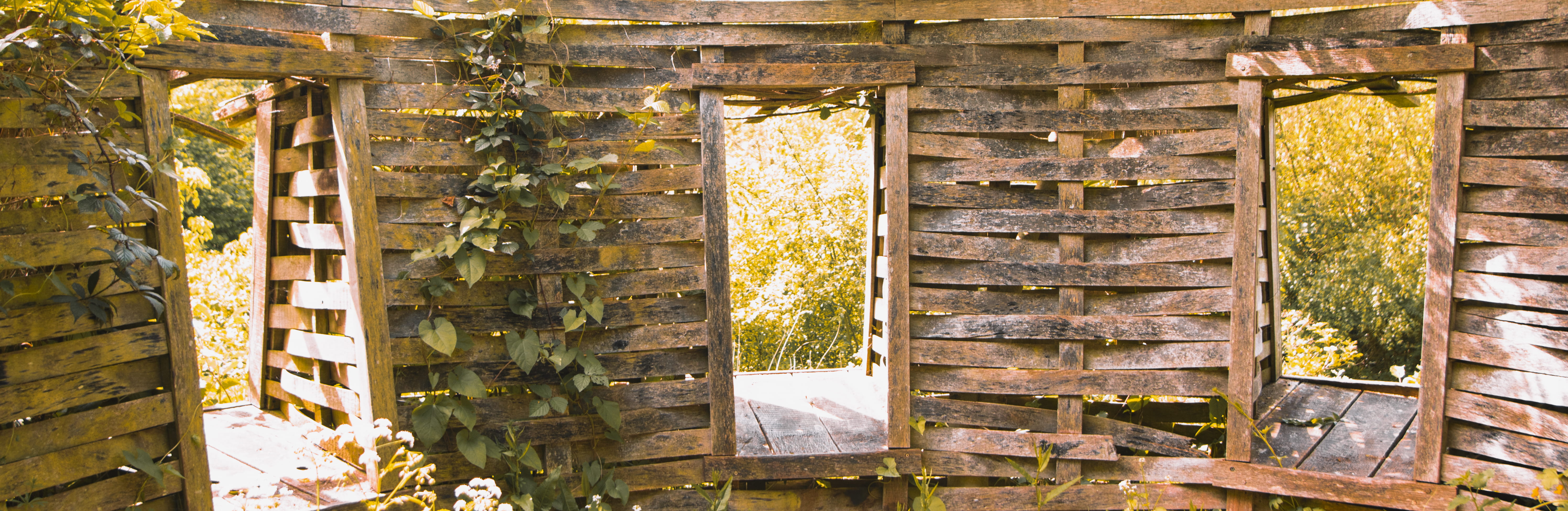 summer, rustic, old, house, gardens, history, ruined, nature, the past, close-up, wood, weathered, travel destinations, united kingdom, food and drink, HD Wallpaper