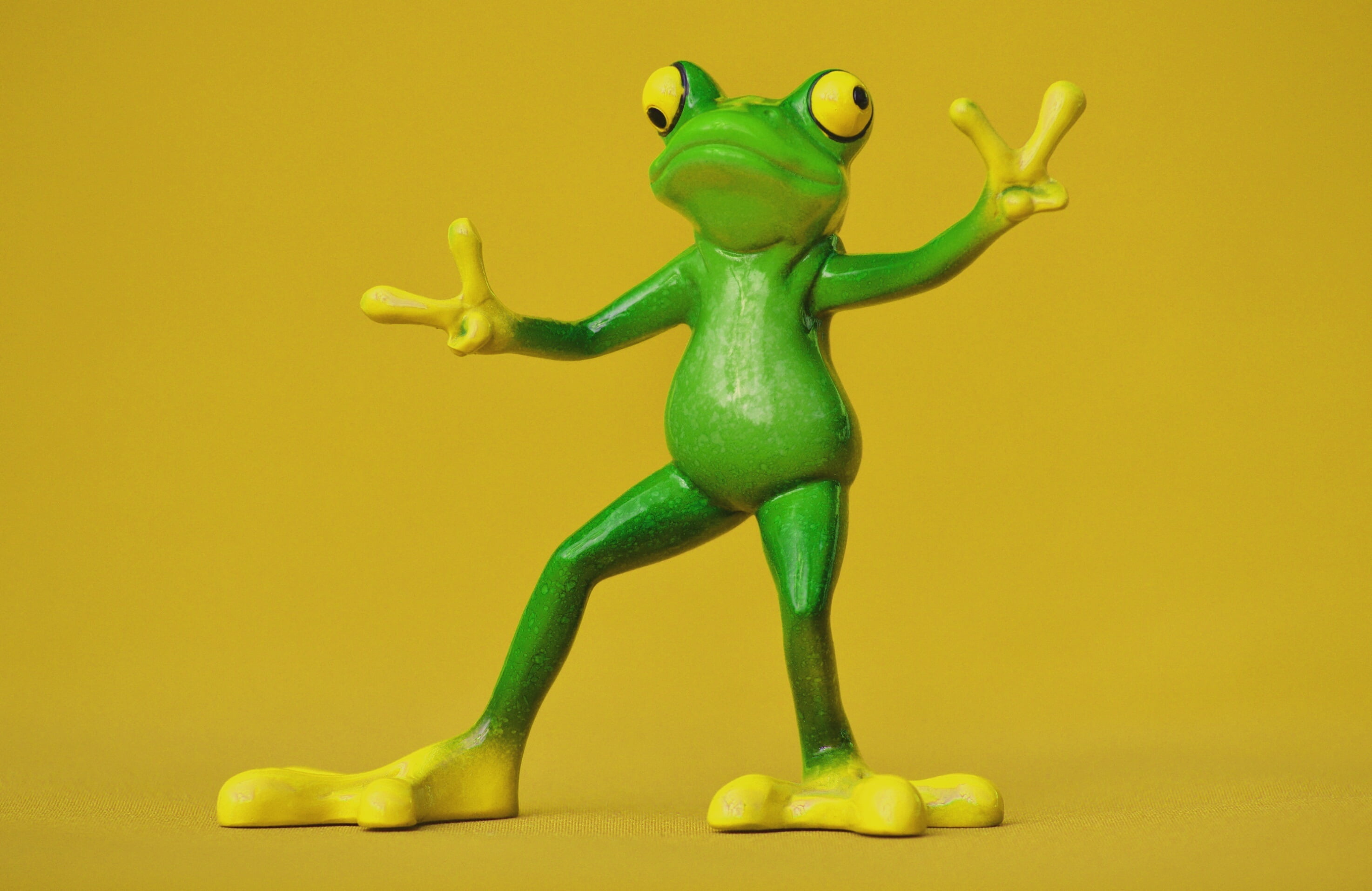 colored Background, green background, 2K, yellow background, mammal, indoors, single object, toad, cute, figurine, animal, fun, arms raised, wildlife, HD Wallpaper