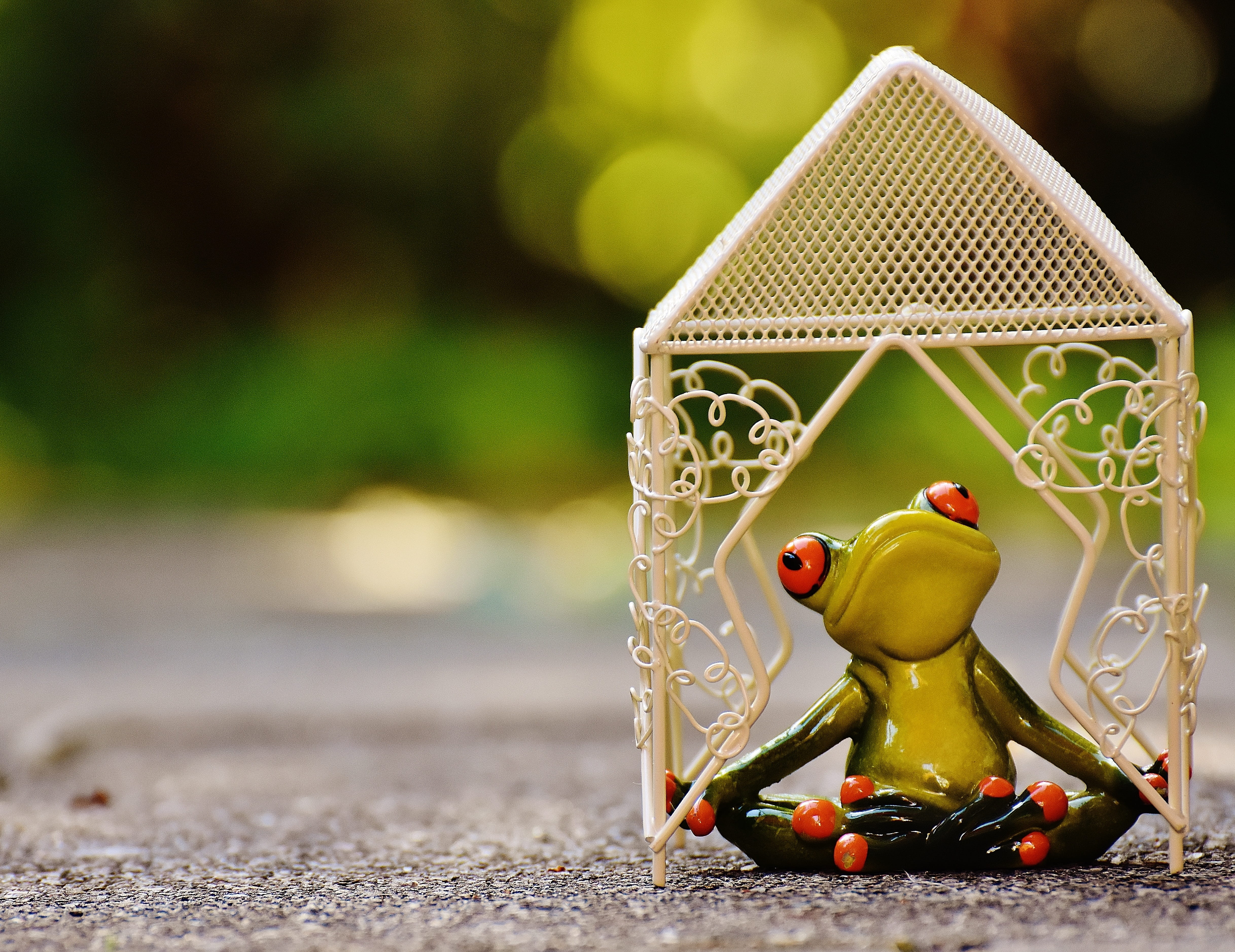 green, gray, yellow, rest, Pavilion, day, Yoga, creativity, decoration, no people, red, outdoors, concrete, park, Frog, romantic, tree, toy, Summer, selective, HD Wallpaper