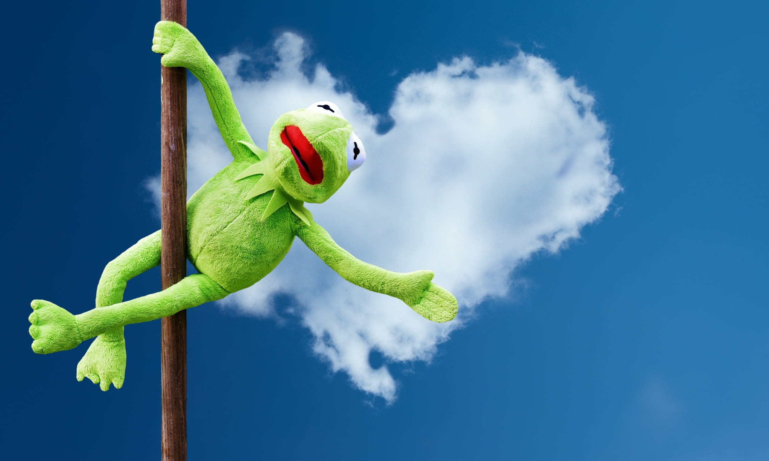 lizard, green color, digital composite, outdoors, sticl, 1080P, nature, animal body part, animal wildlife, soft toy, funny, aggression, kermit frog, plush, HD Wallpaper