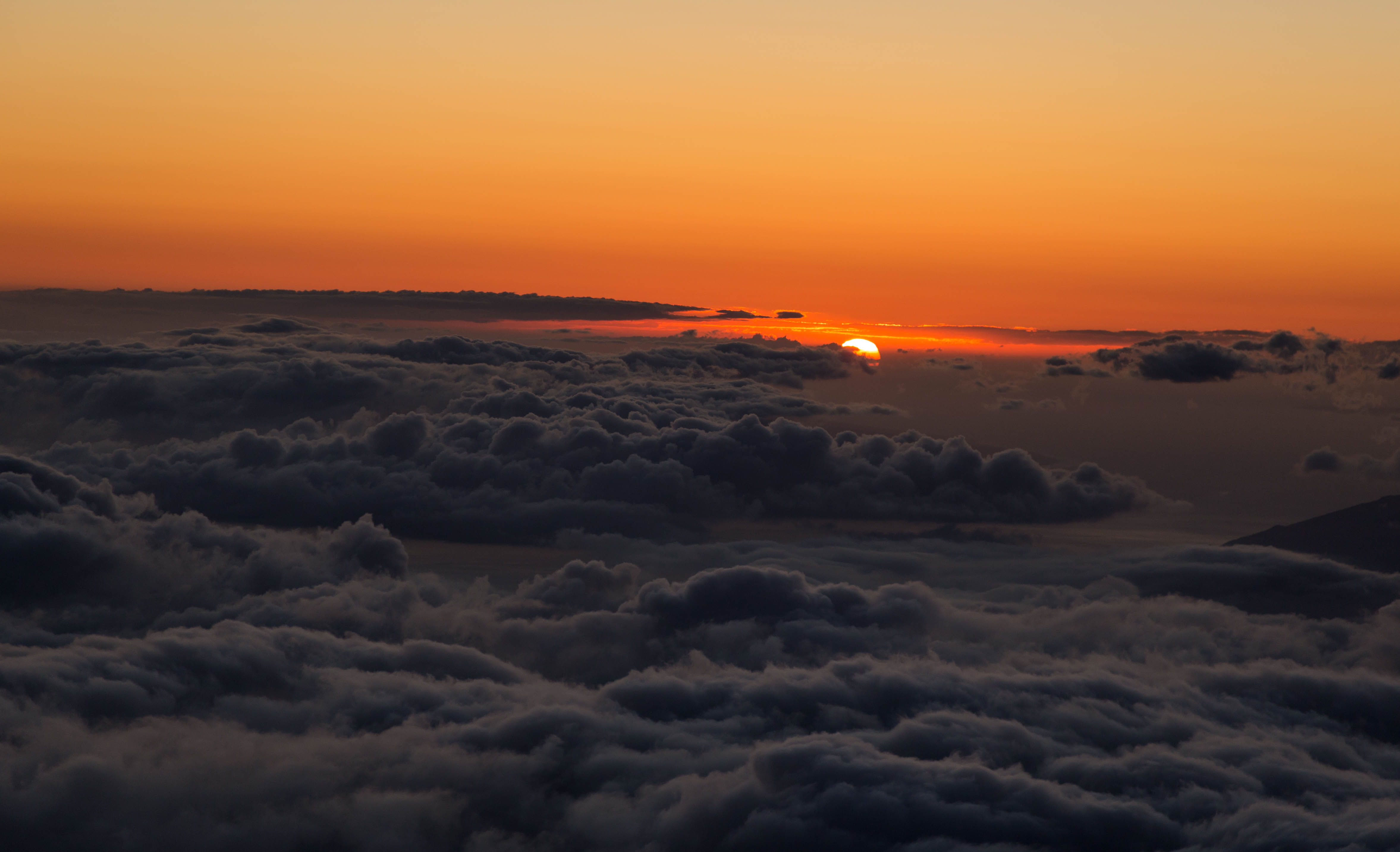 tranquil scene, orange color, sunset, haleakala, 4K, dramatic, sun, vertebrate, outdoors, tranquility, haleakalā national park, beauty in nature, united states, HD Wallpaper