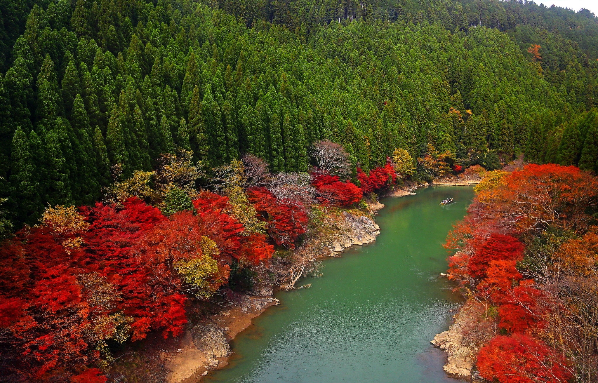 red, Japan, scenics - nature, october, idyllic, leaf, green, change, non-urban scene, Arashiyama, multi Colored, land, nature, autumn collection, scenics, HD Wallpaper