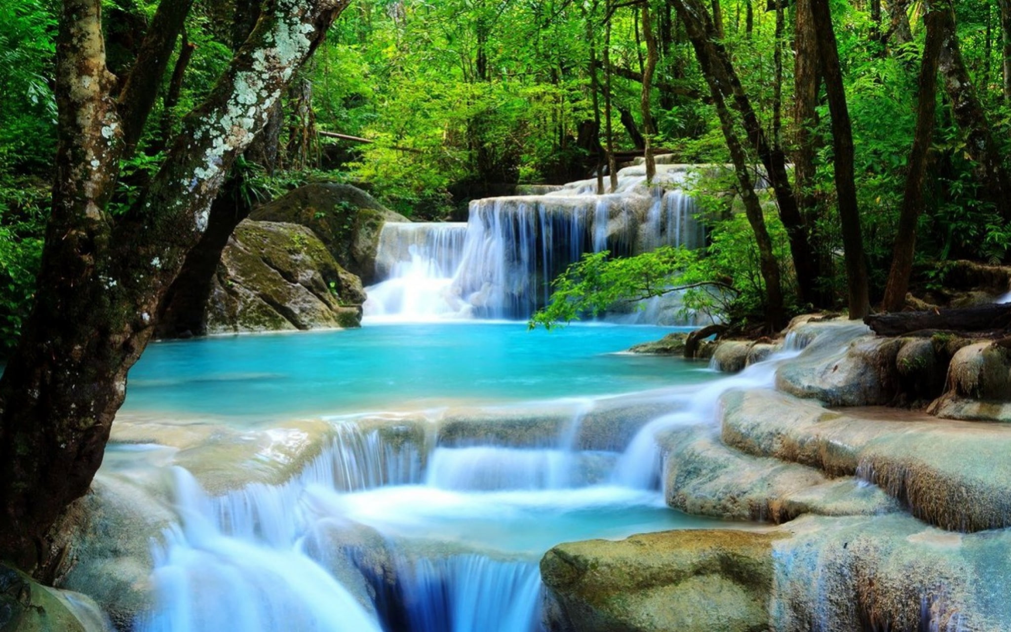 power in nature, rock - object, rock, scenics - nature, tree, no people, long exposure, waterfall beautiful pictures hd, nature, beauty in nature, running water, HD Wallpaper